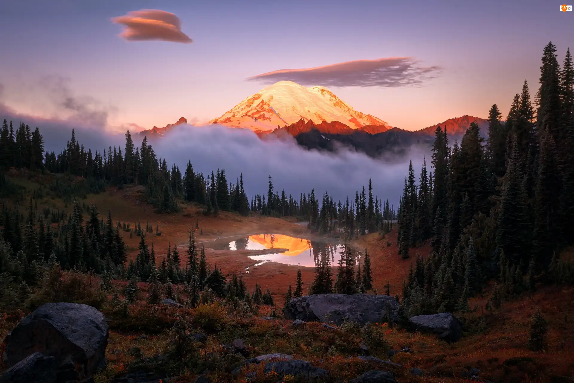  Drzewa, Stany Zjednoczone, Góry, Jezioro Tipsoo, Stan Waszyngton, Stratowulkan Mount Rainier, Mgła, Park Narodowy Mount Rainier