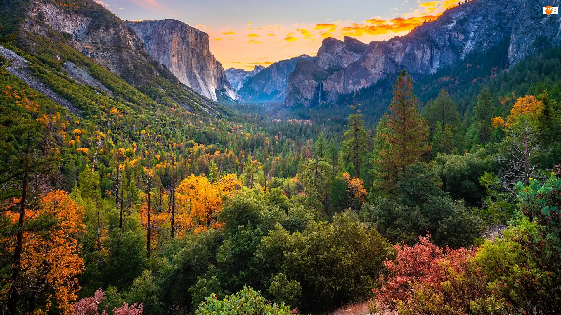 Kalifornia, Park Narodowy Yosemite, Drzewa, Stany Zjednoczone, Jesień, Dolina, Góry