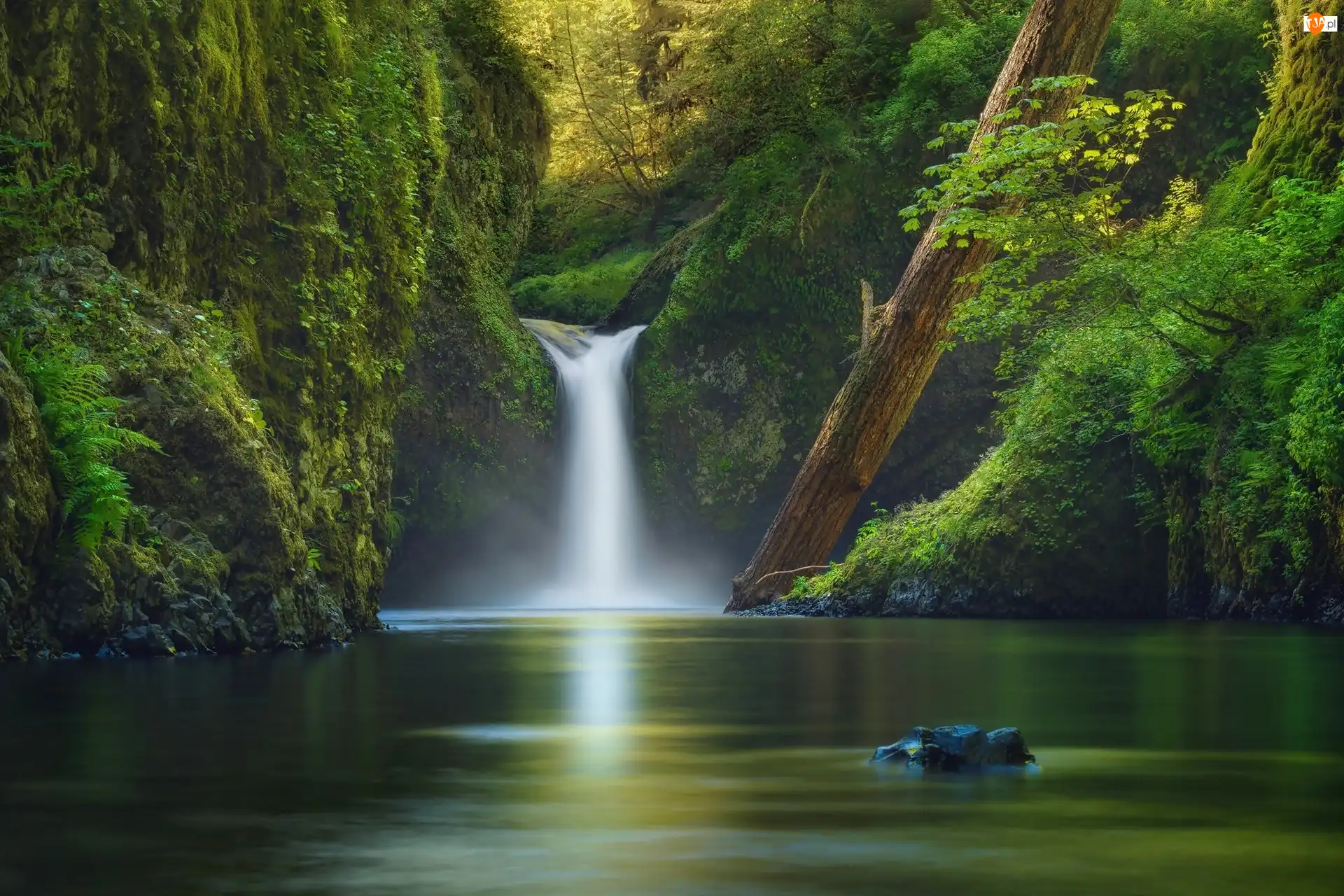 Stan Oregon, Rezerwat przyrody Columbia River Gorge, Rzeka, Stany Zjednoczone, Potok Eagle Creek, Las, Wodospad Punch Bowl Falls