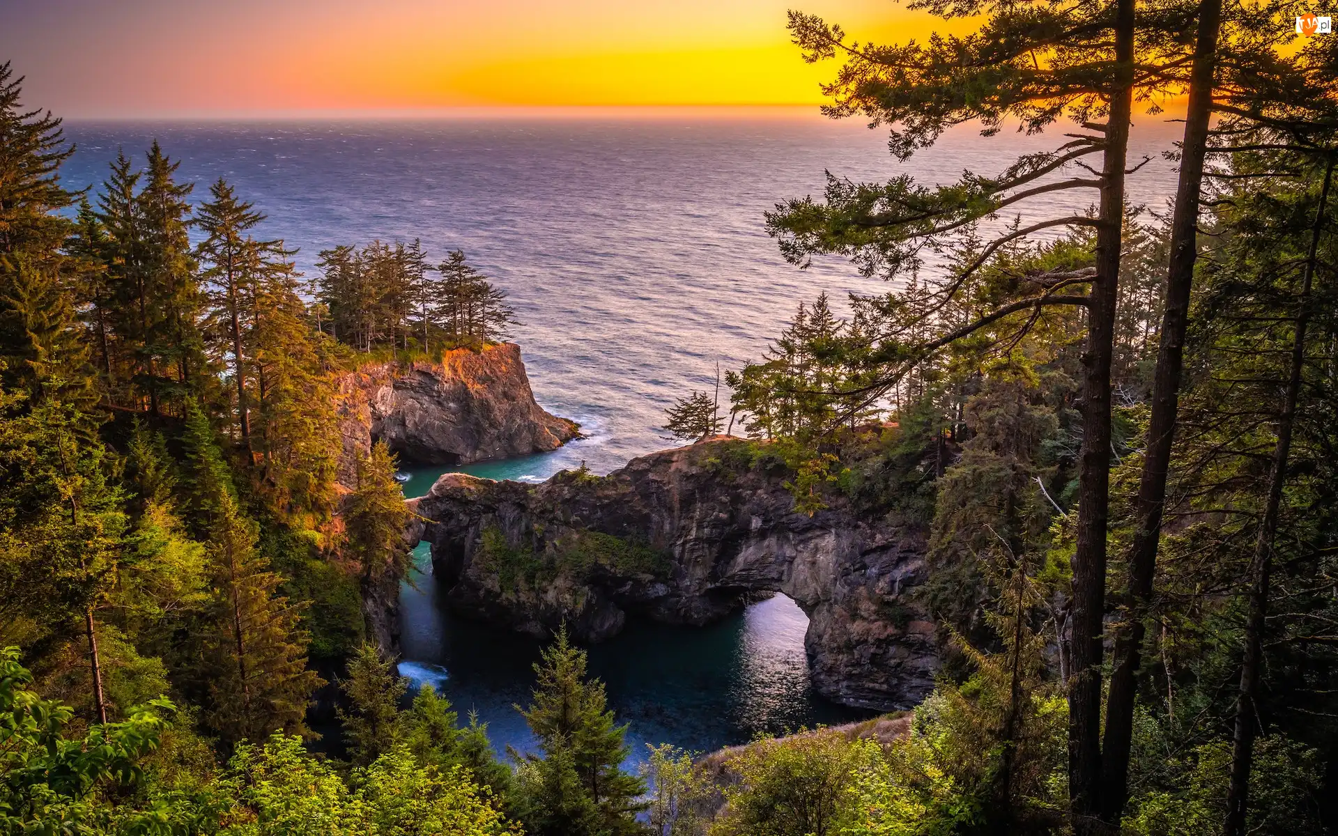 Morze, Samuel H. Boardman State Scenic Corridor, Brookings, Punkt widokowy, Most skalny, Oregon, Wybrzeże Park stanowy, Skały, Natural Bridges Viewpoint, Drzewa, Stany Zjednoczone