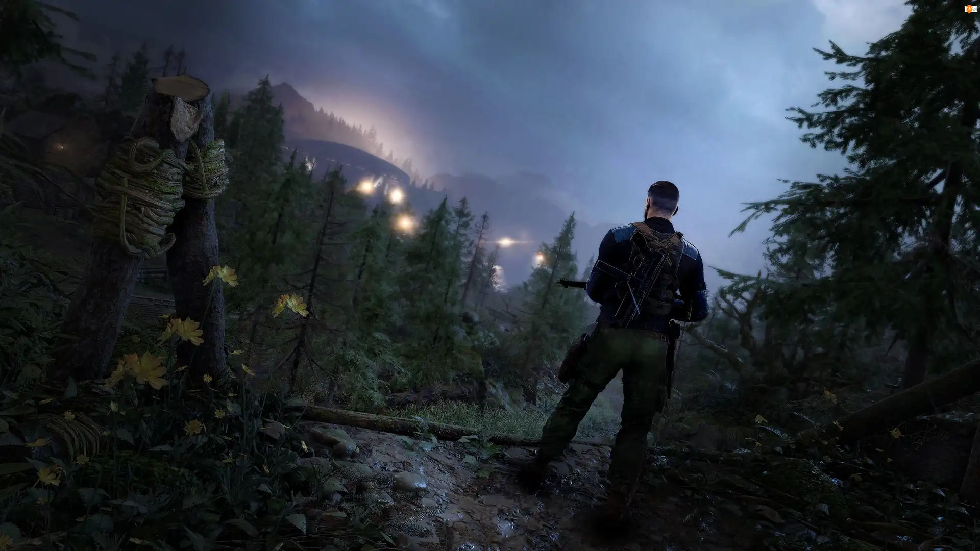 Snajper, Las, Sniper Elite 5, Mężczyzna, Gra, Góry, Zamglone