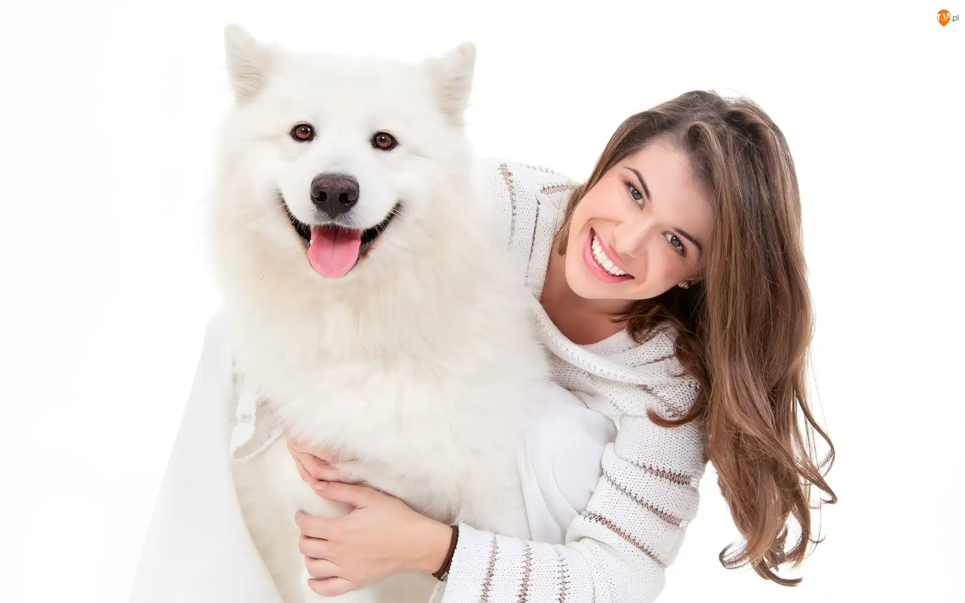Samojed, Uśmiechnięta, Kobieta, Pies