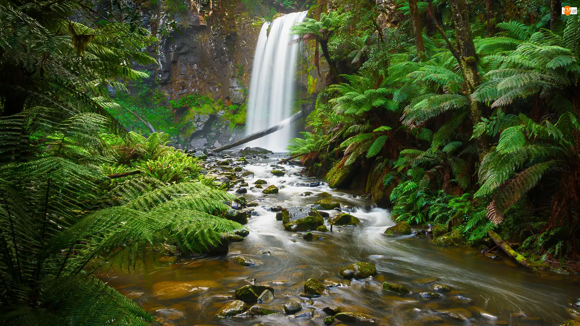Australia, Hopetoun Falls, Stan Wiktoria, Rośliny, Paprocie, Park Narodowy Great Otway, Skały, Wodospad, Rzeka