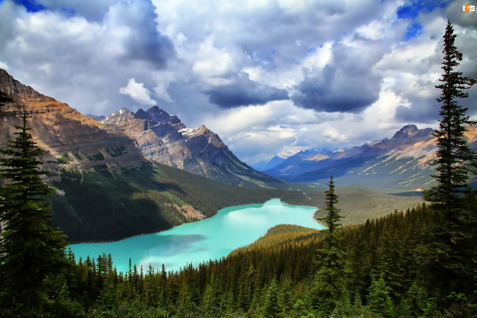 Jezioro Peyto Lake, Góry, Prowincja Alberta, Las, Park Narodowy Banff, Kanada