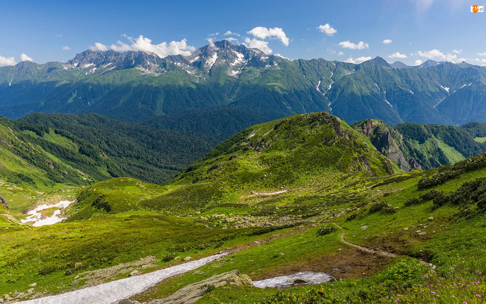 Rosja, Kaukaz, Kraj Krasnodarski, Drzewa, Trawa, Góra, Mount Chugush, Góry, Chmury