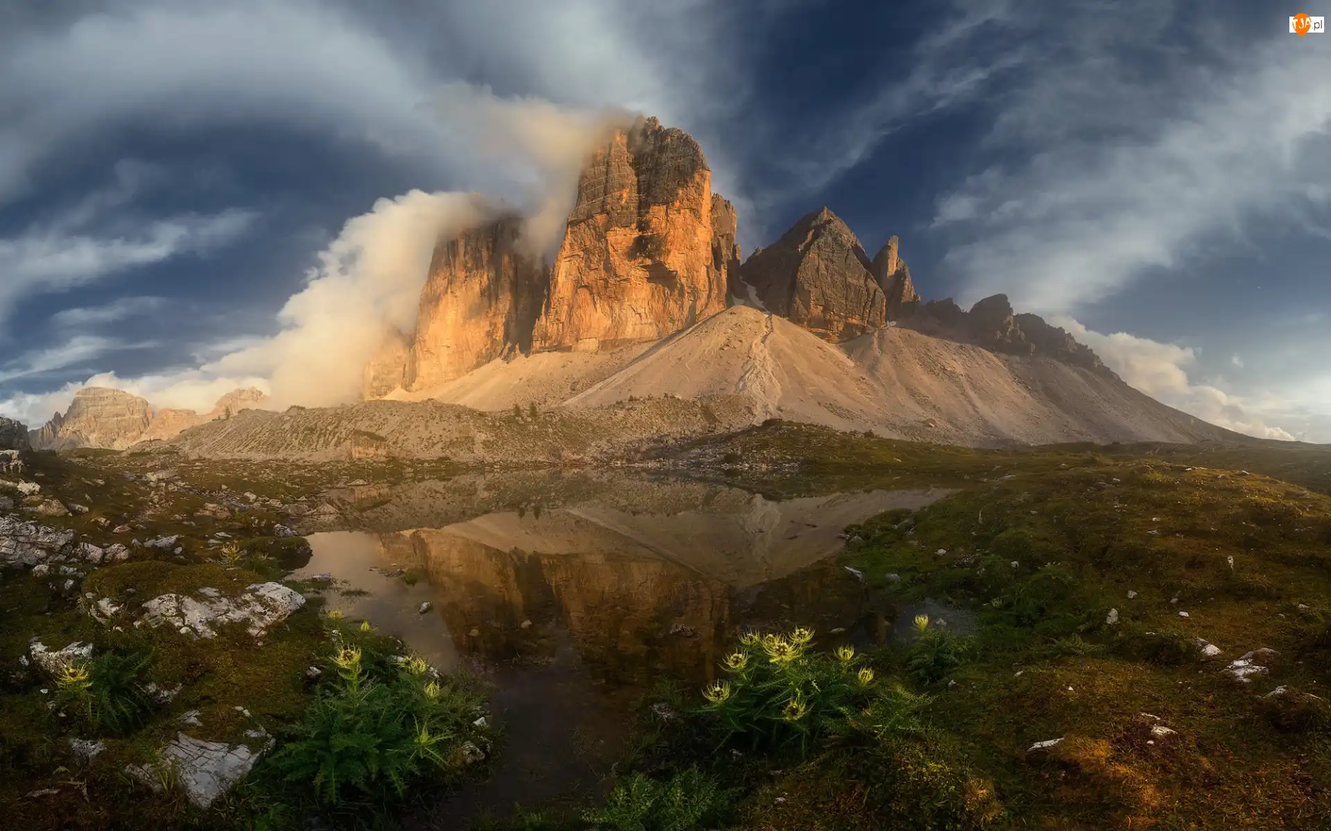 Dolomity, Tre Cime di Lavaredo, Włochy, Góry, Chmury, Kwiaty, Trawa