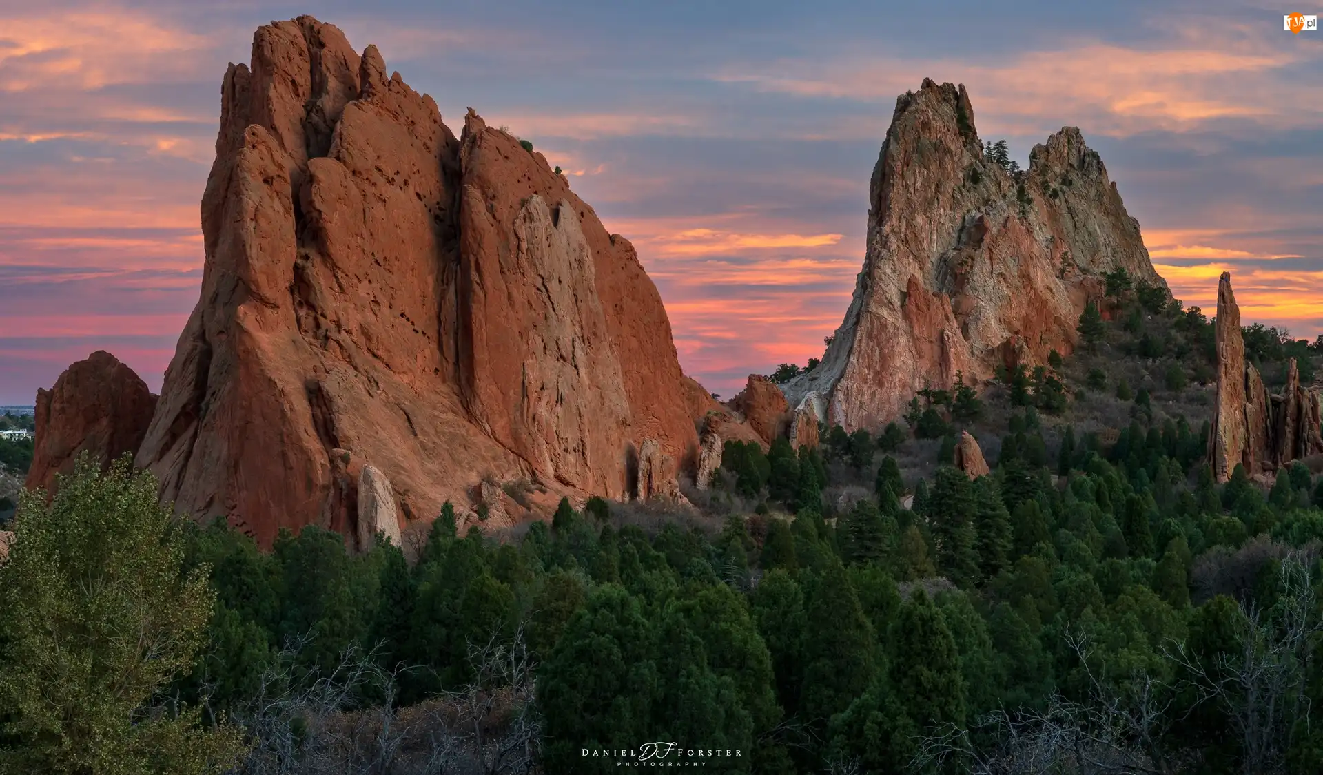 Kolorado, Stany Zjednoczone, Góry, Drzewa, Garden of the Gods, Skały