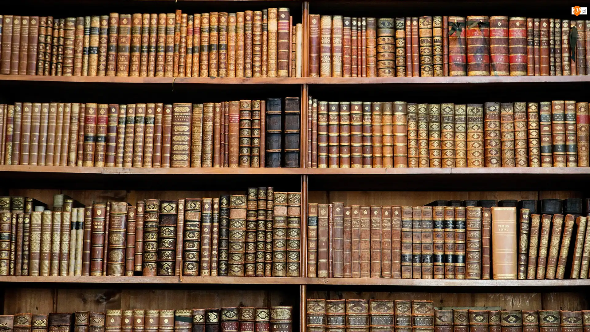 Półki, Biblioteka, Książki
