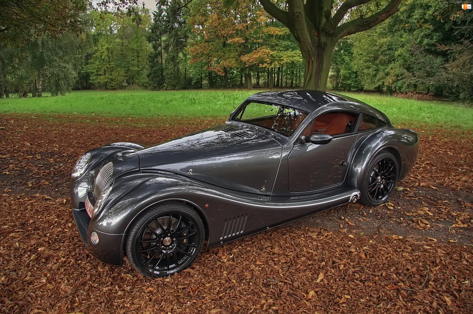 Liście, Morgan Aero 8, Park