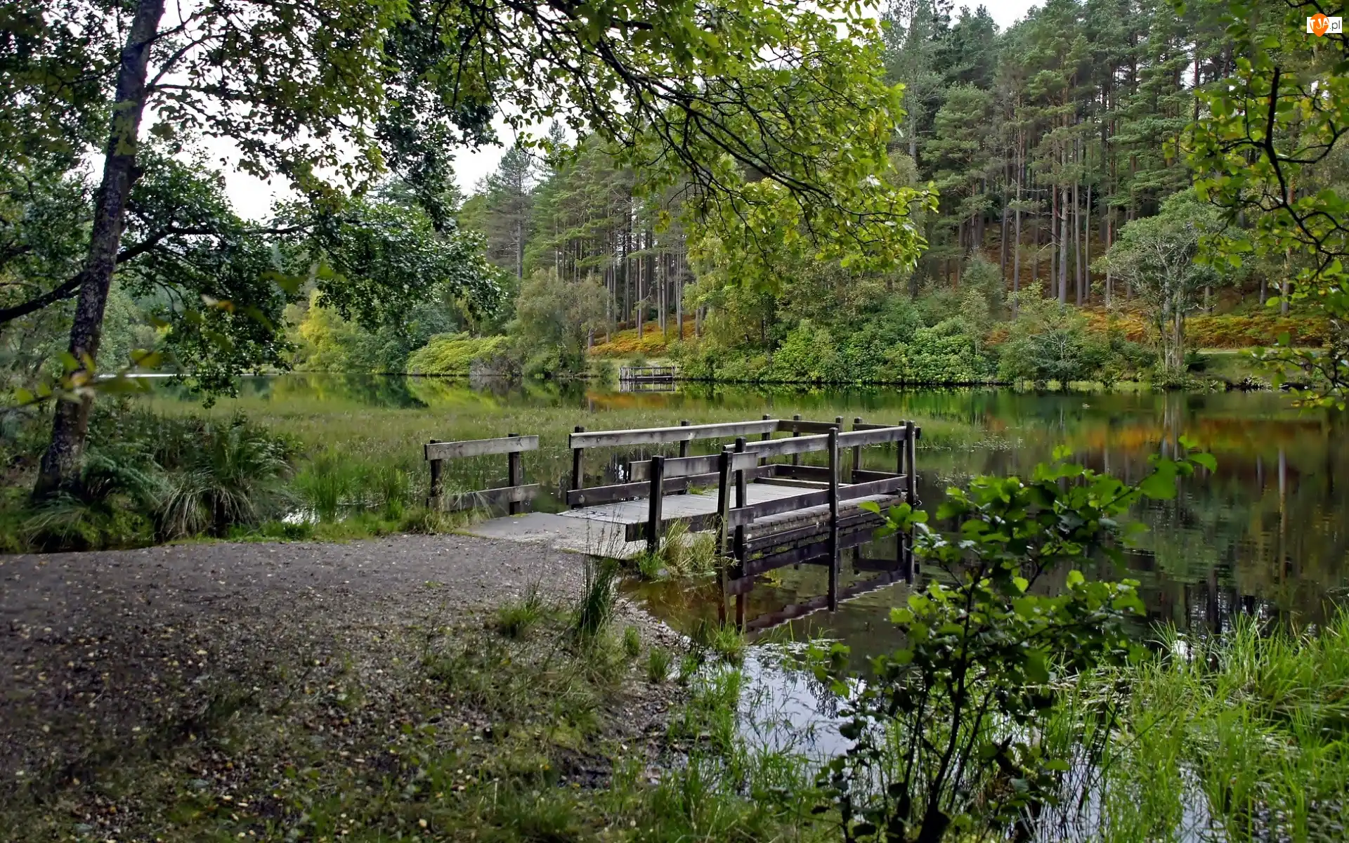 Pomost, Las, Rzeka