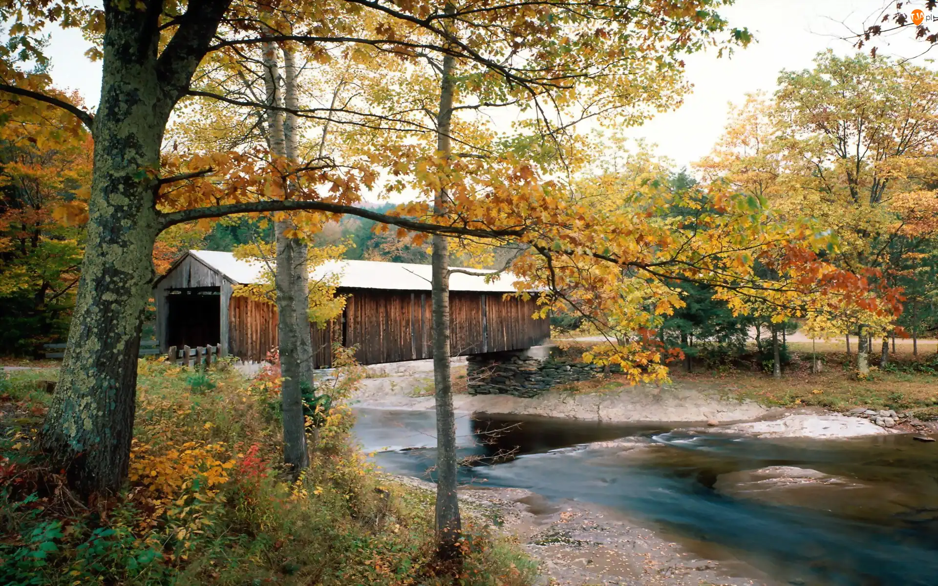 Wodny, Młyn, Jesień, Anglia, Rzeka, Vermont