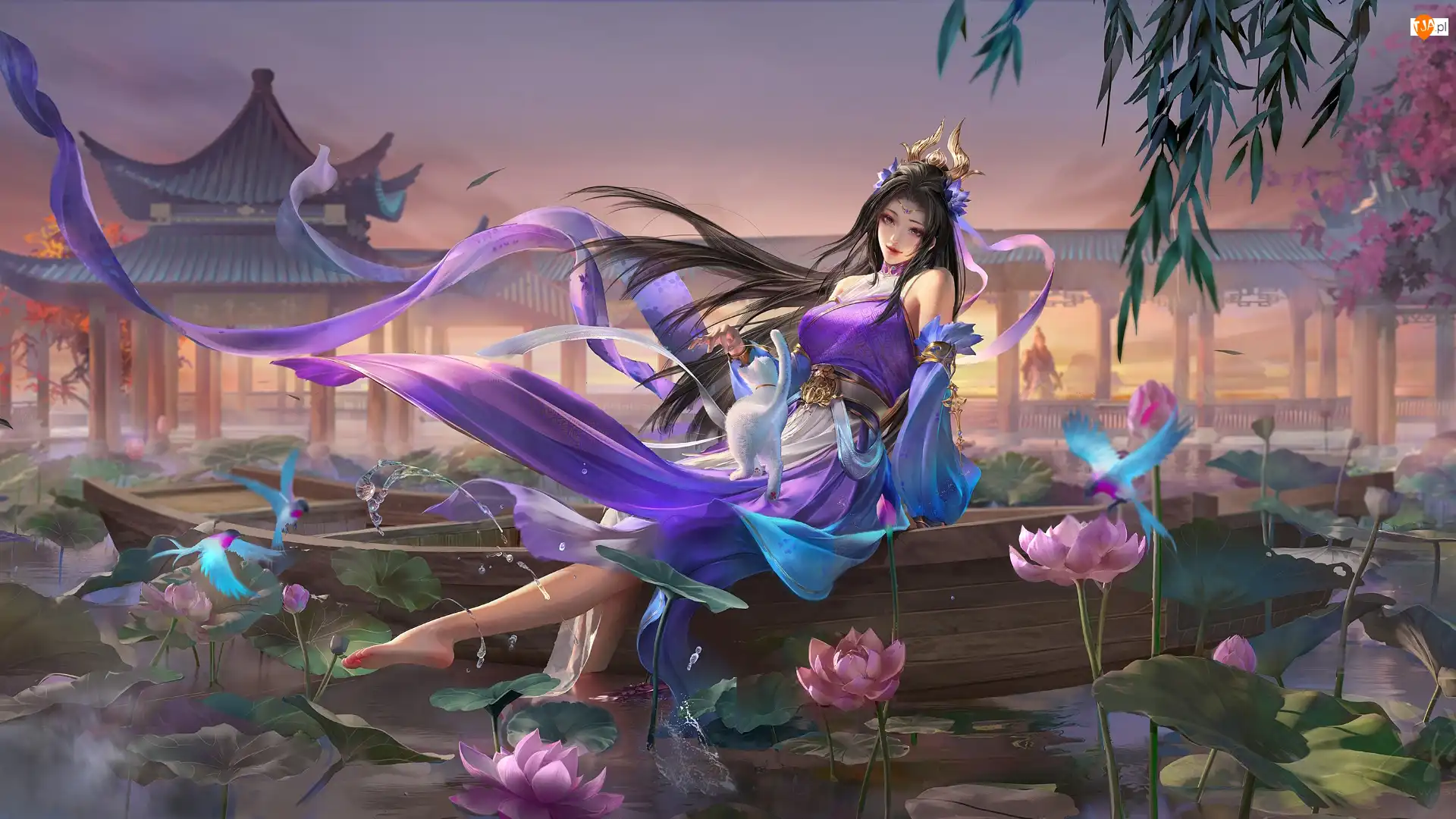 Total War Three Kingdoms, Postać, Kot, Gra