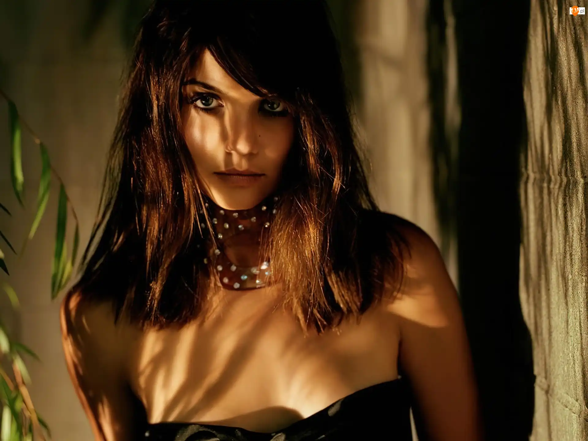 Katie Holmes, brązowe, włosy