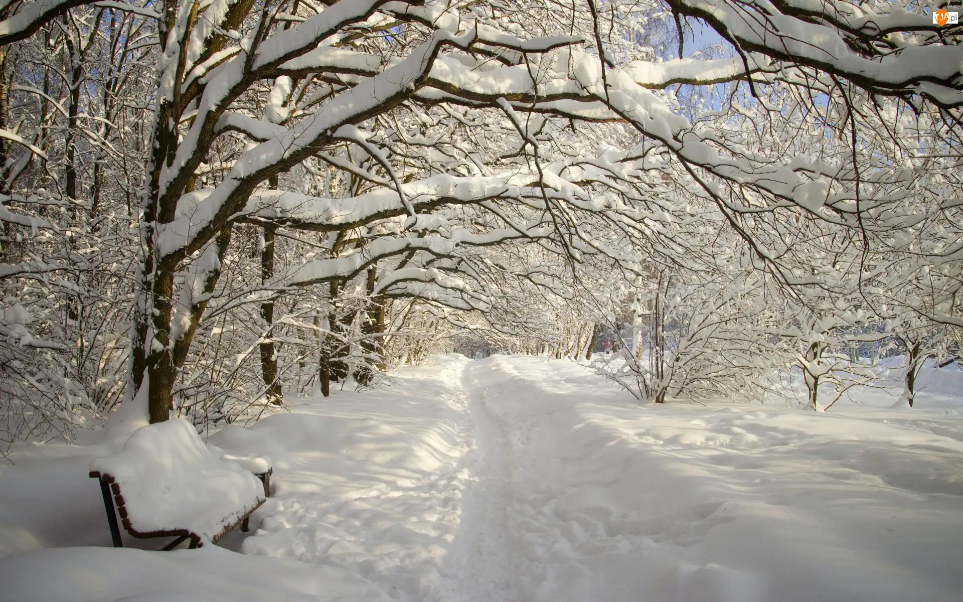 Park, Drzewa, Ławka, Zima, Aleja, Śnieg, Gałęzie