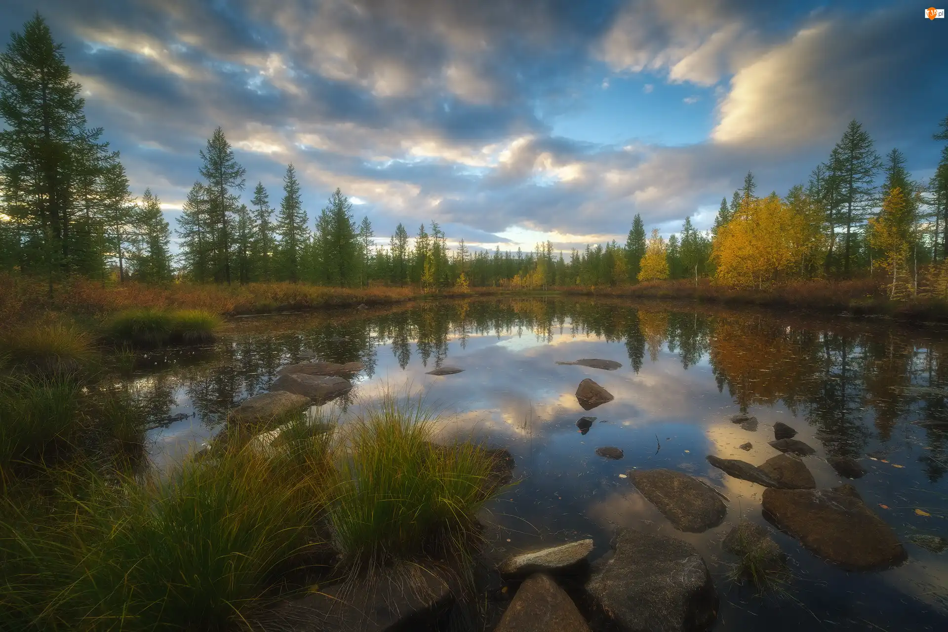 Drzewa, Trawa, Jezioro, Jesień, Kamienie