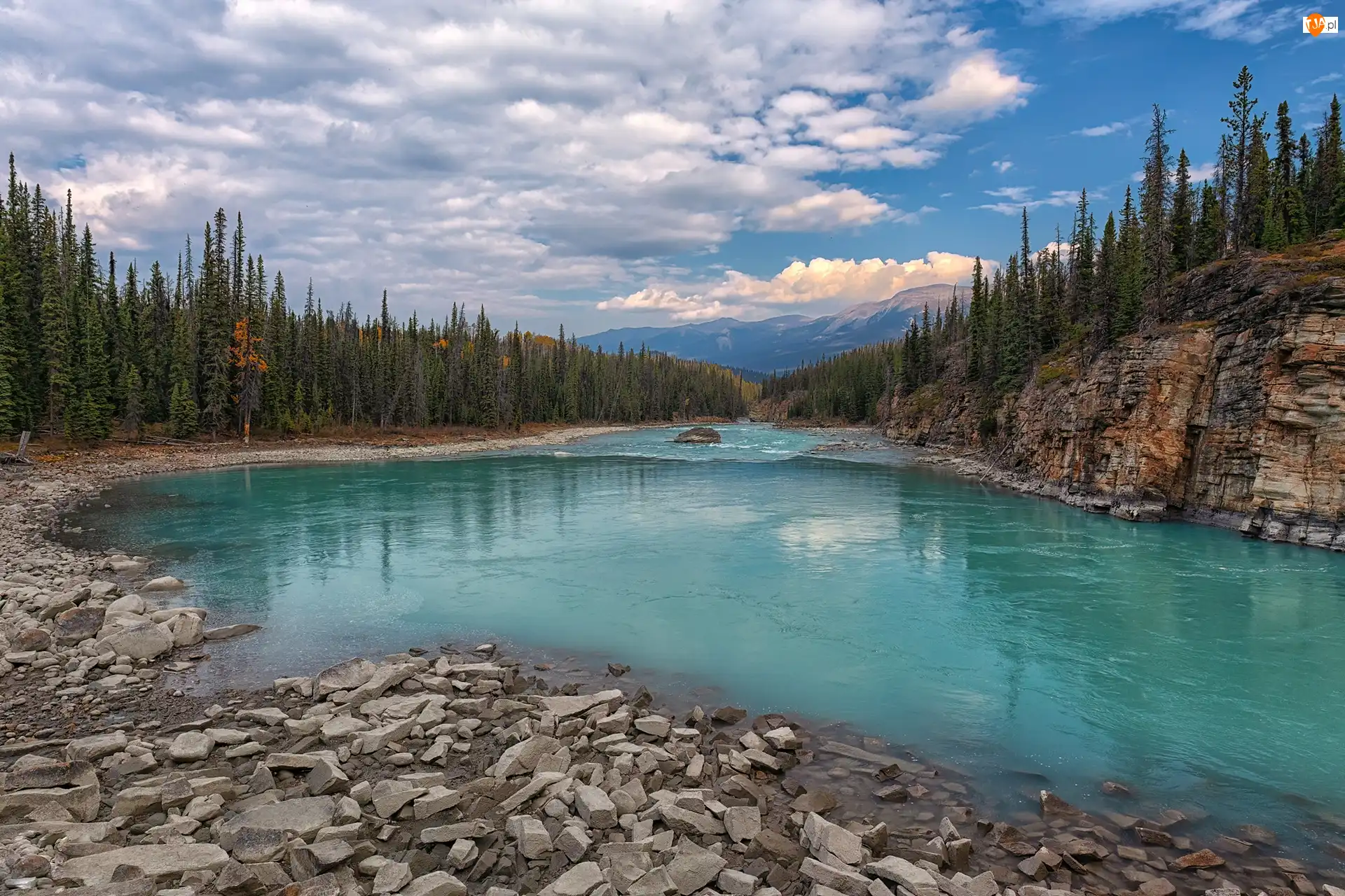 Góry, Drzewa, Kanada, Park Narodowy Jasper, Alberta, Rzeka Athabasca, Las