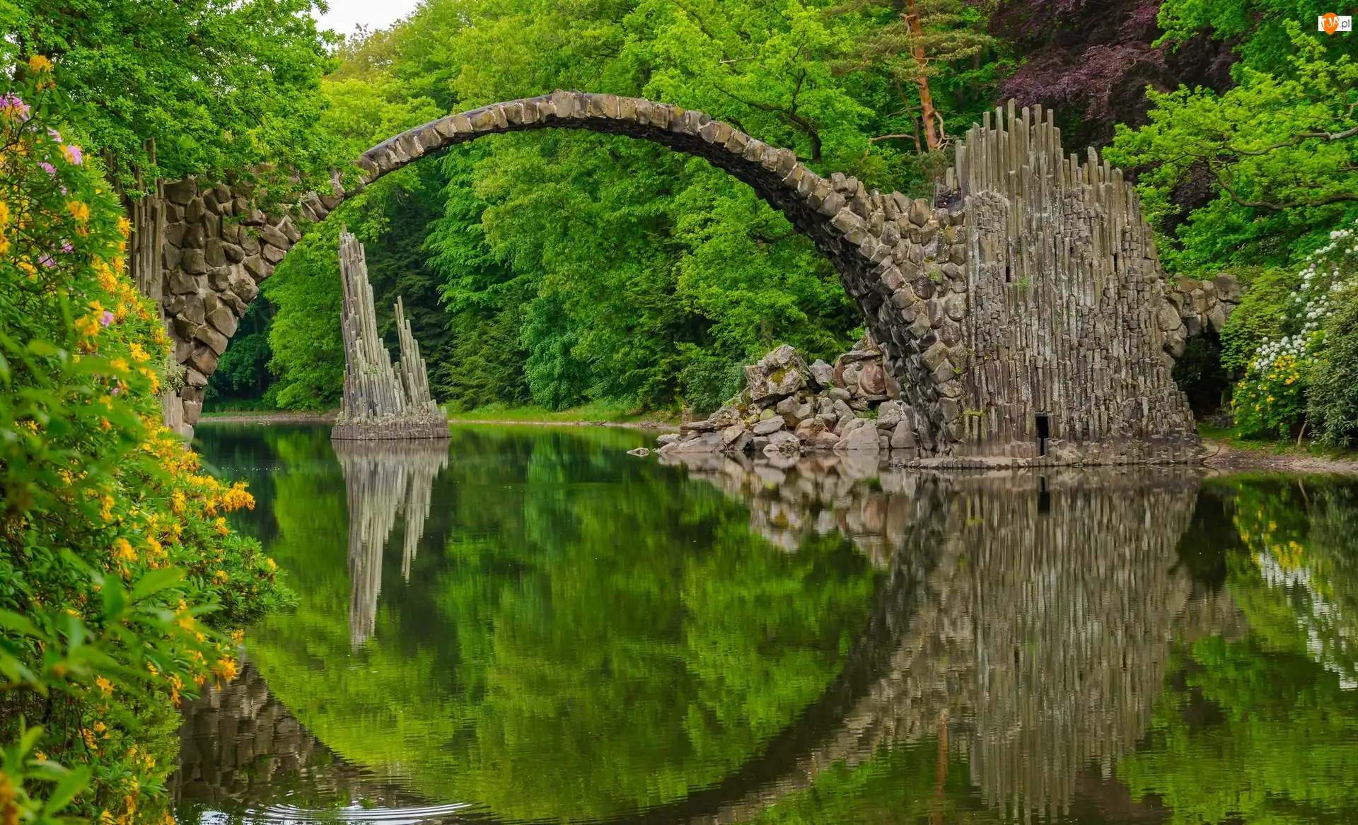 Jezioro Rakotz, Niemcy, Kamienny, Kwiaty, Saksonia, Most łukowy, Odbicie Las, Park Rododendronów Kromlau