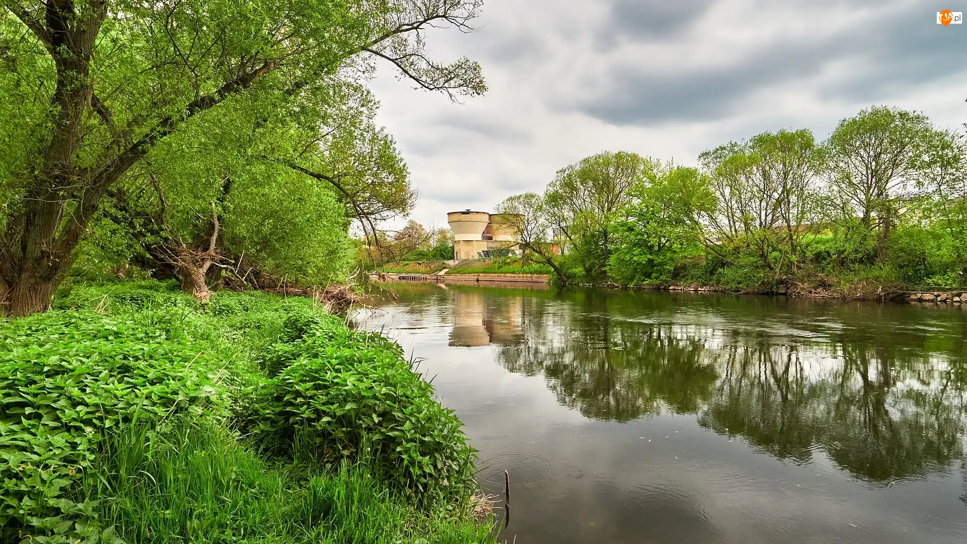 Odbicie, Rzeka, Rośliny, Bad Kreuznach, Nahe River, Kominy, Niemcy, Drzewa