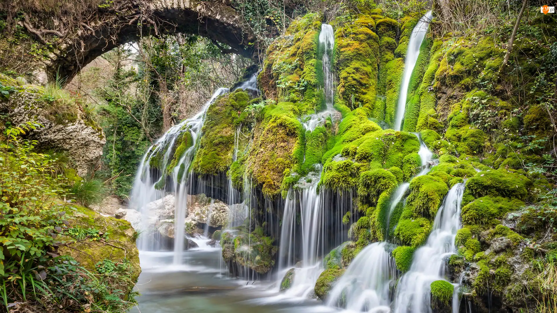 Roślinność, Włochy, Most, Wodospad, Capelli di Venere waterfall