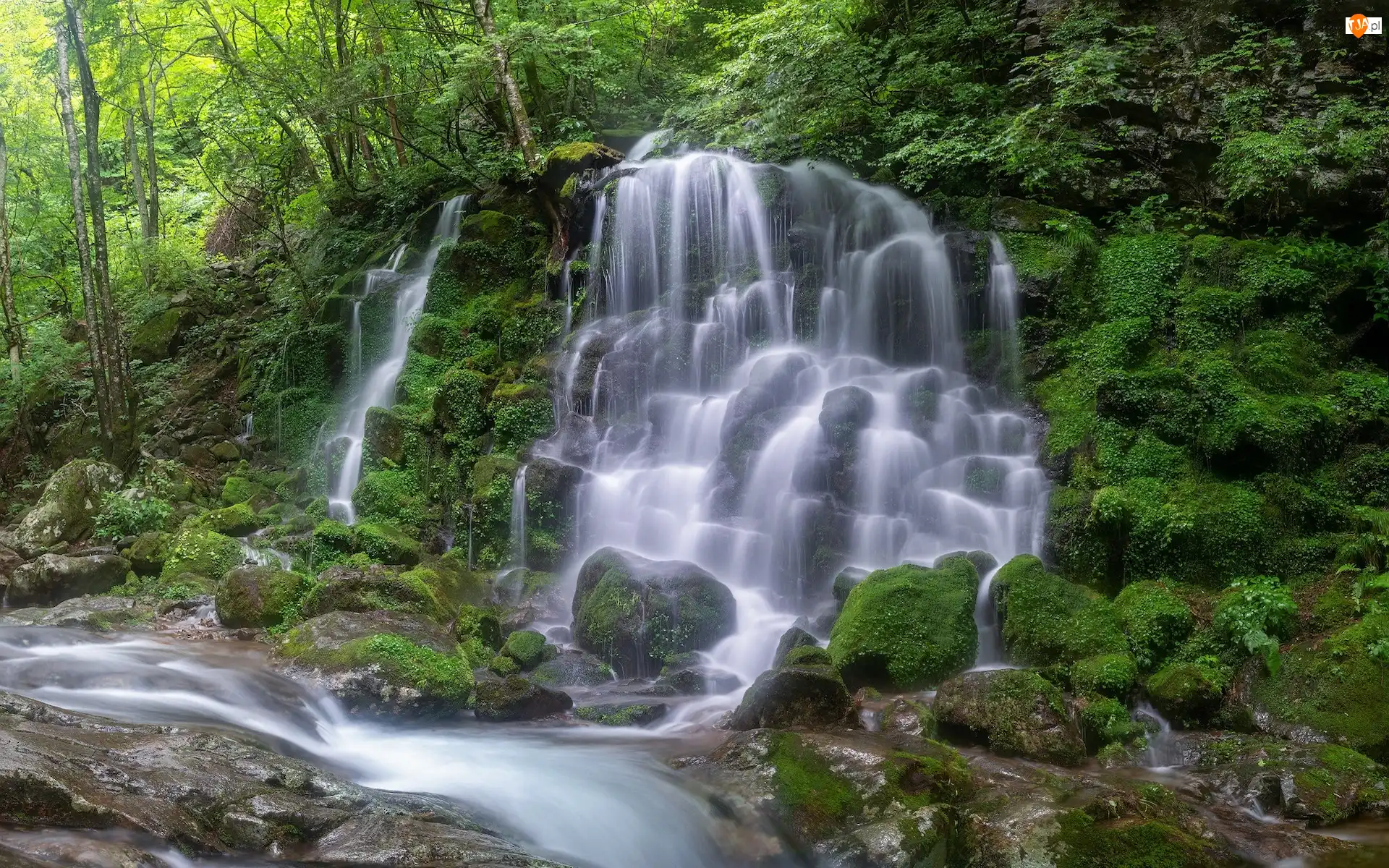 Korea Południowa, Rzeka, Park Narodowy Jirisan, Omszałe, Kamienie, Wodospad, Silbidan Falls, Las, Roślinność