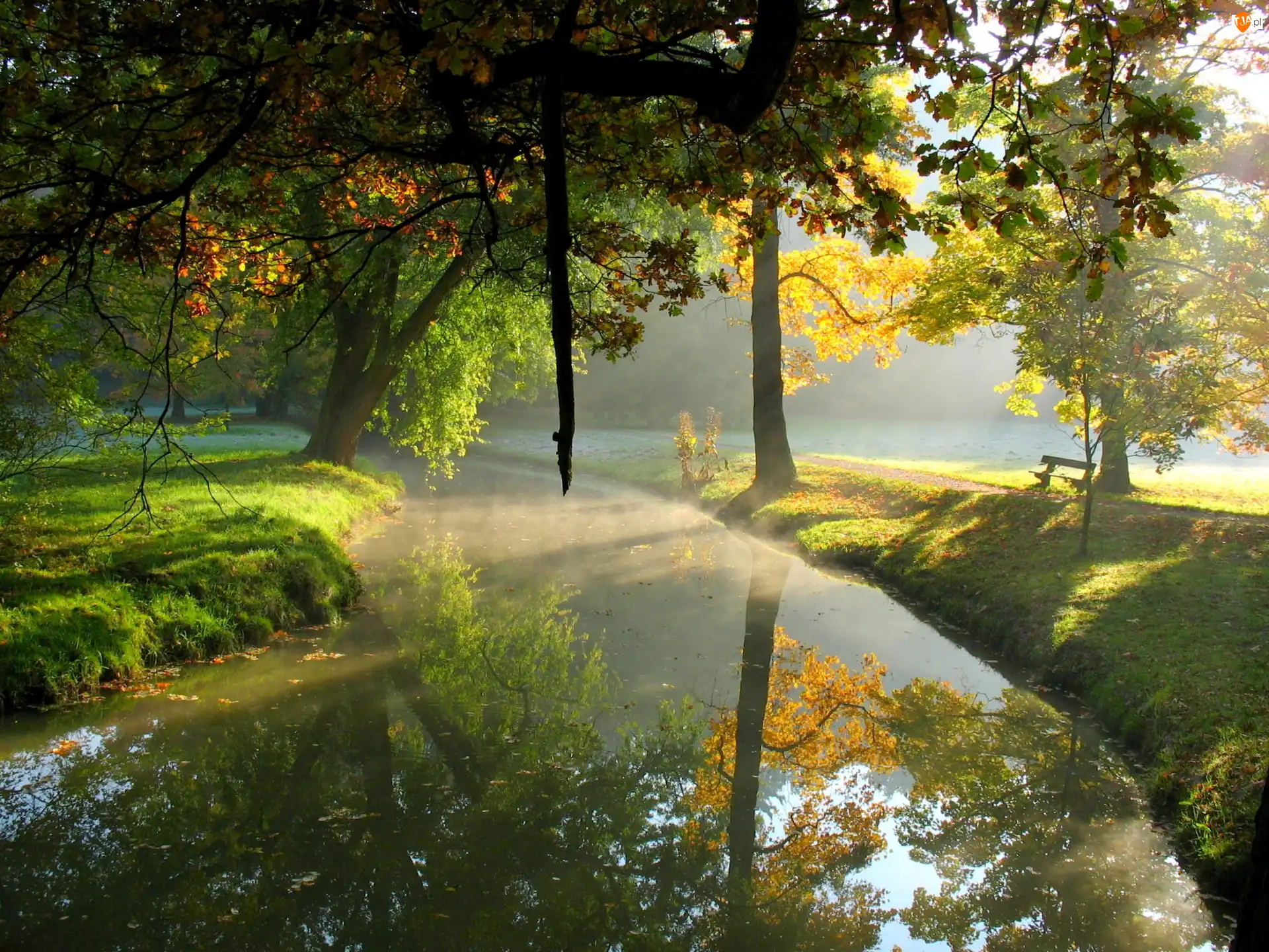 Park, Drzewa, Rzeka