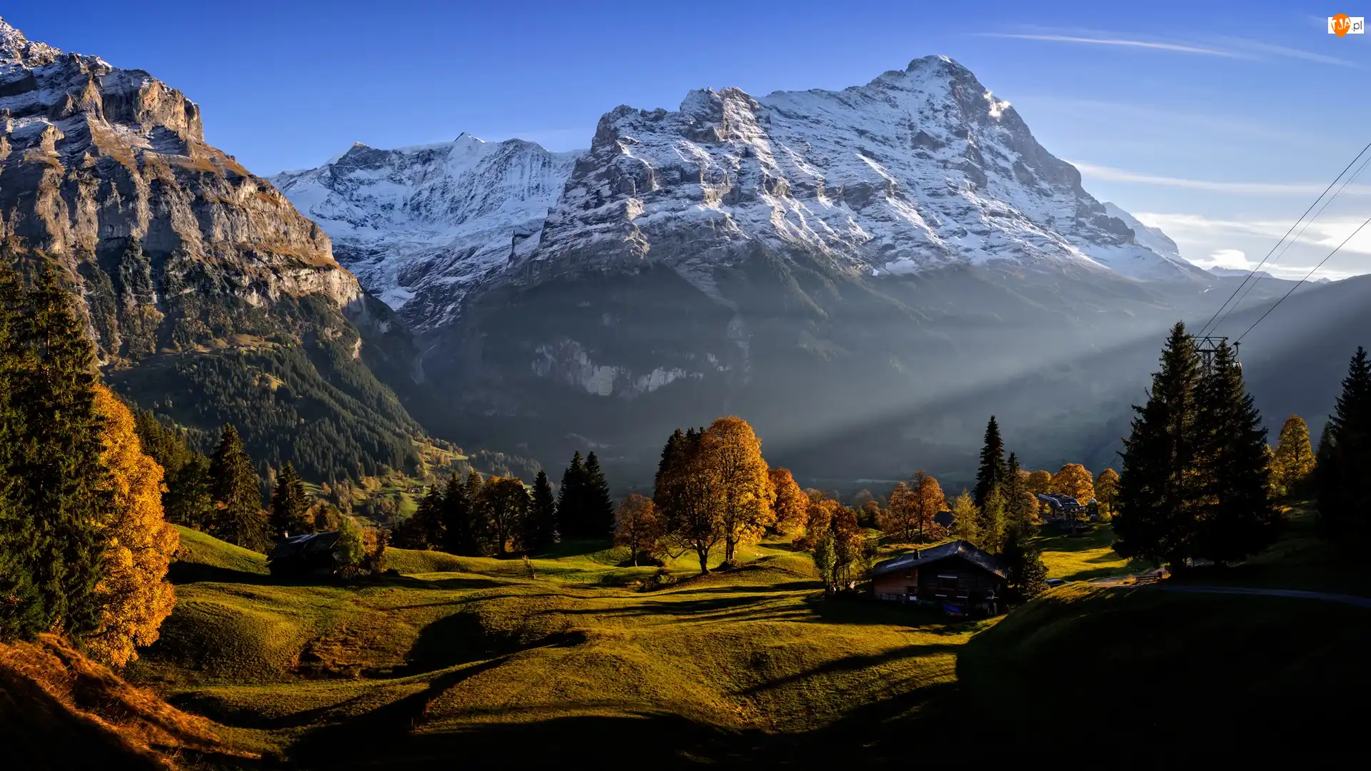 Kanton Berno, Wieś Grindelwald, Domy, Szwajcaria, Drzewa, Alpy Berneńskie, Góry