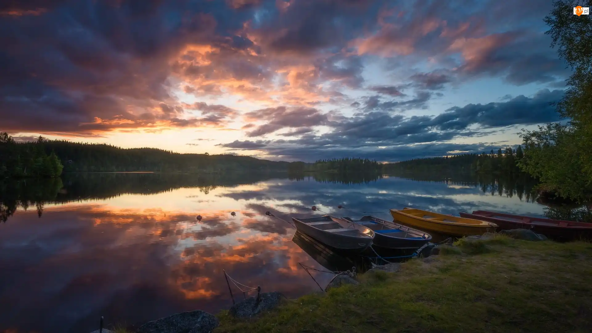 Ringerike, Norwegia, Jezioro, Drzewa, Zachód słońca, Łódki