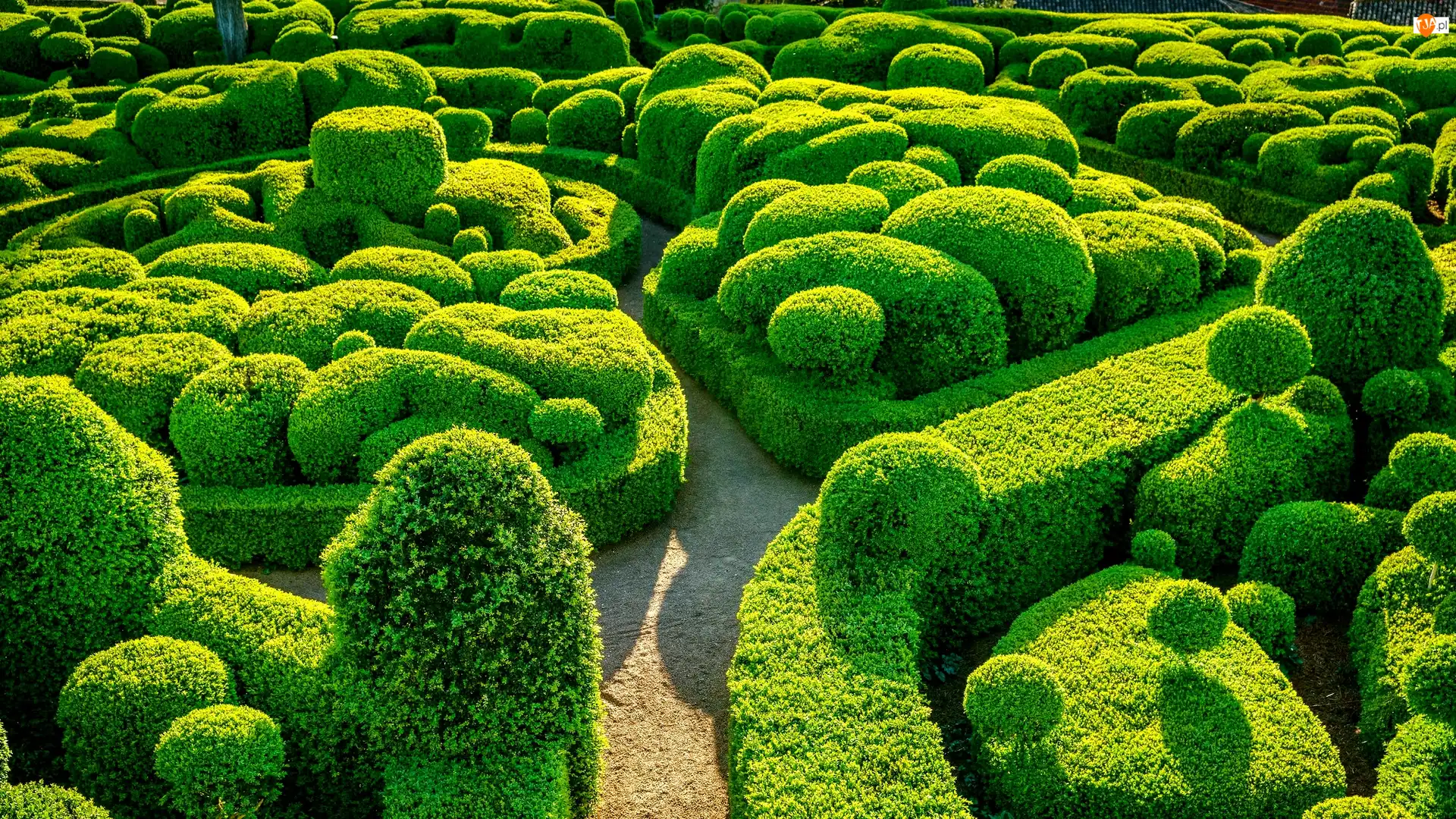 Vezac, Klomby, Ogród, Departament Dordogne, Krzewy, Marqueyssac, Francja, Bukszpan