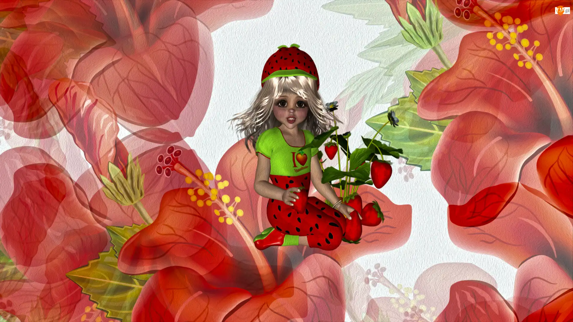 Laleczka, Grafika, Kwiaty, Hibiskus