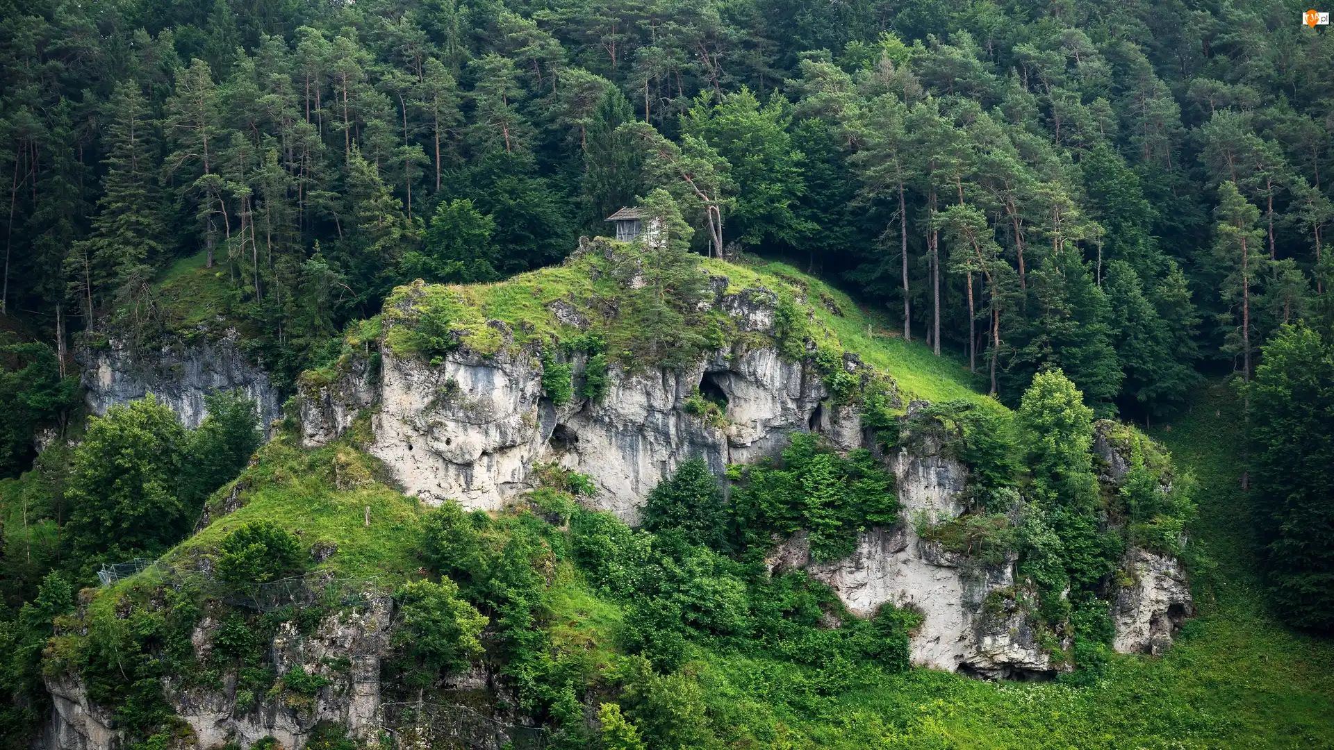 Las, Drzewa, Zieleń, Góry, Domek, Skarpa, Skały