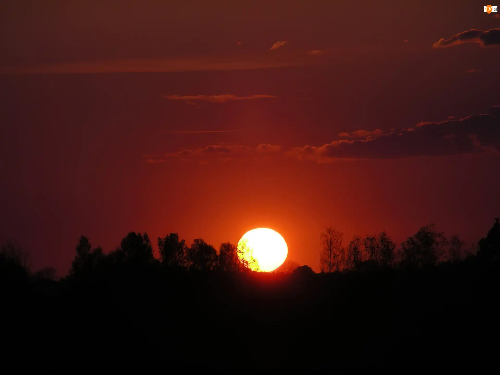 Niebo, Zachodzące, Słońce, Drzewa