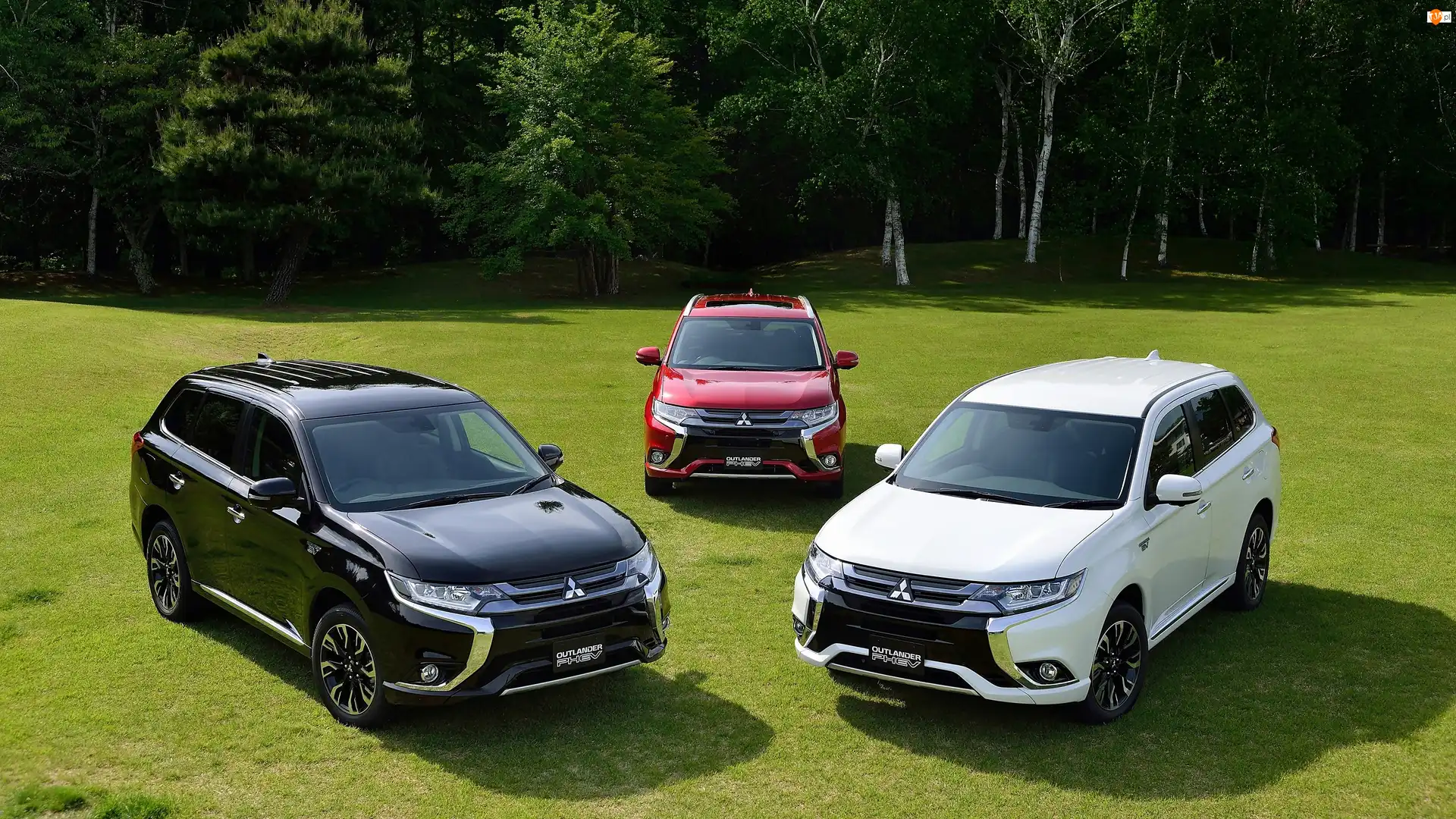 2016, Las, Mitsubishi Outlander PHEV, Trzy, Łąka