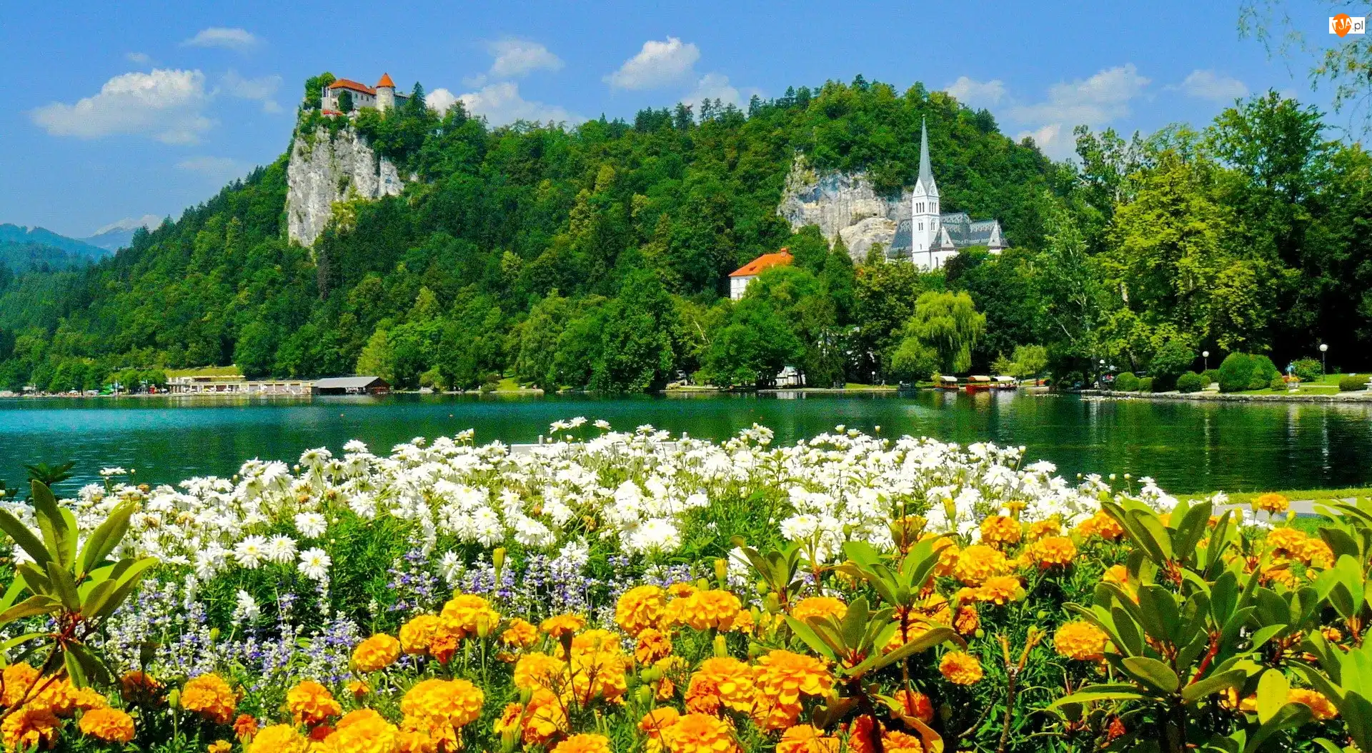 Zamek, Kośclół, Kwiaty, Słowenia, Jezioro, Bled