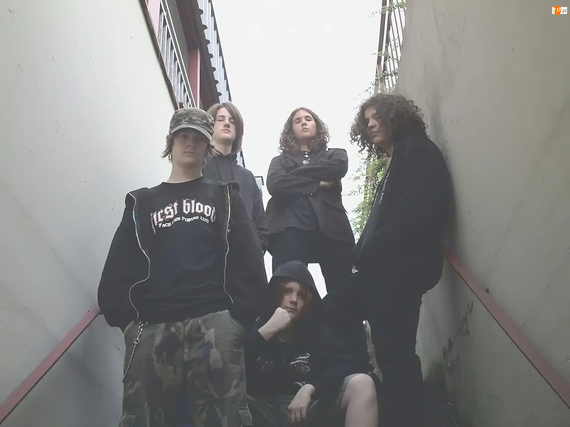 cały zespół, Insane Asylum