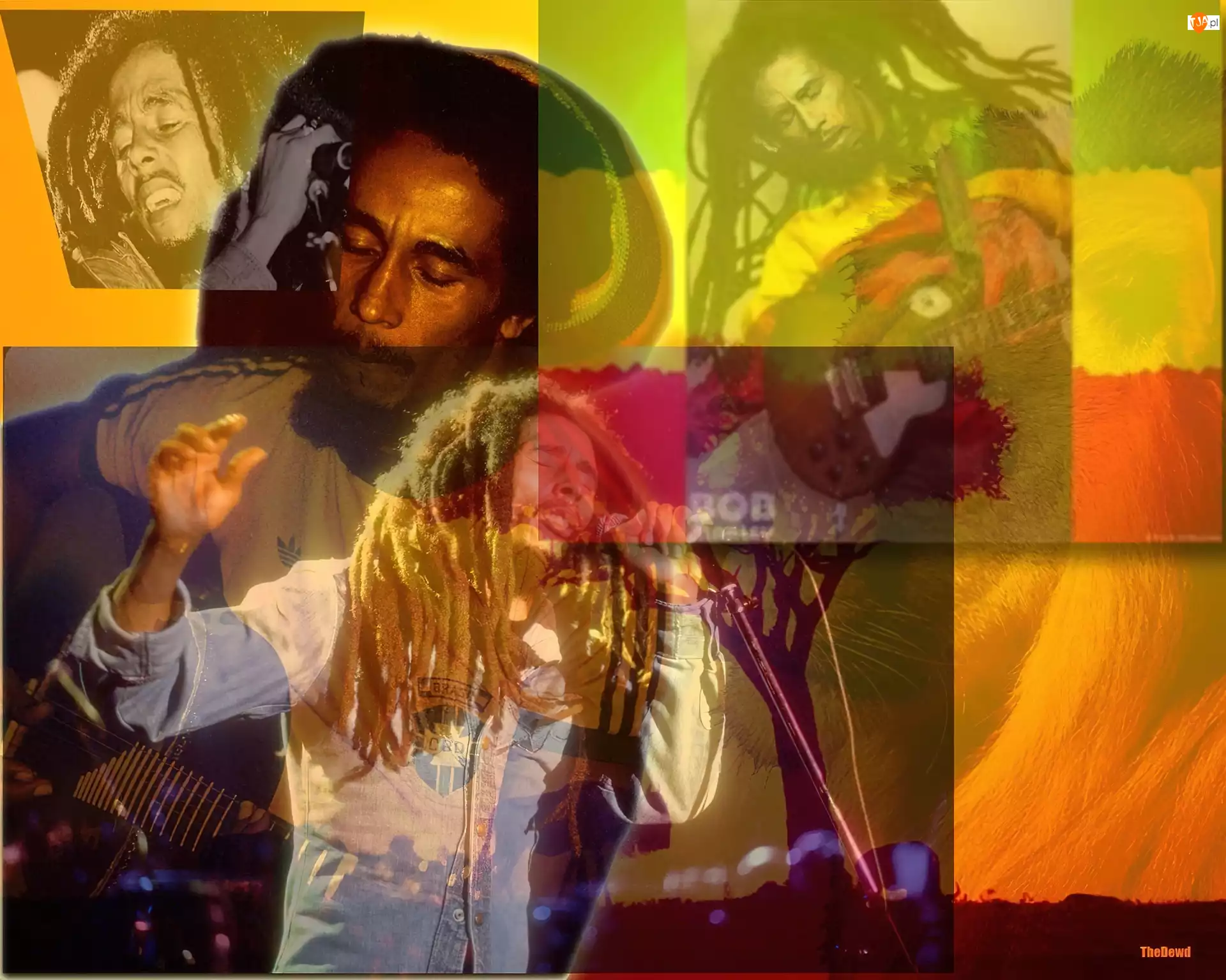 Rasta, Reggae, Bob Marley