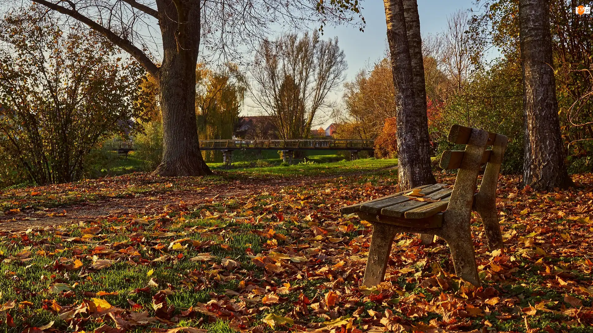 Liście, Jesień, Opadłe, Drzewa, Park, Żółte, Most, Ławka