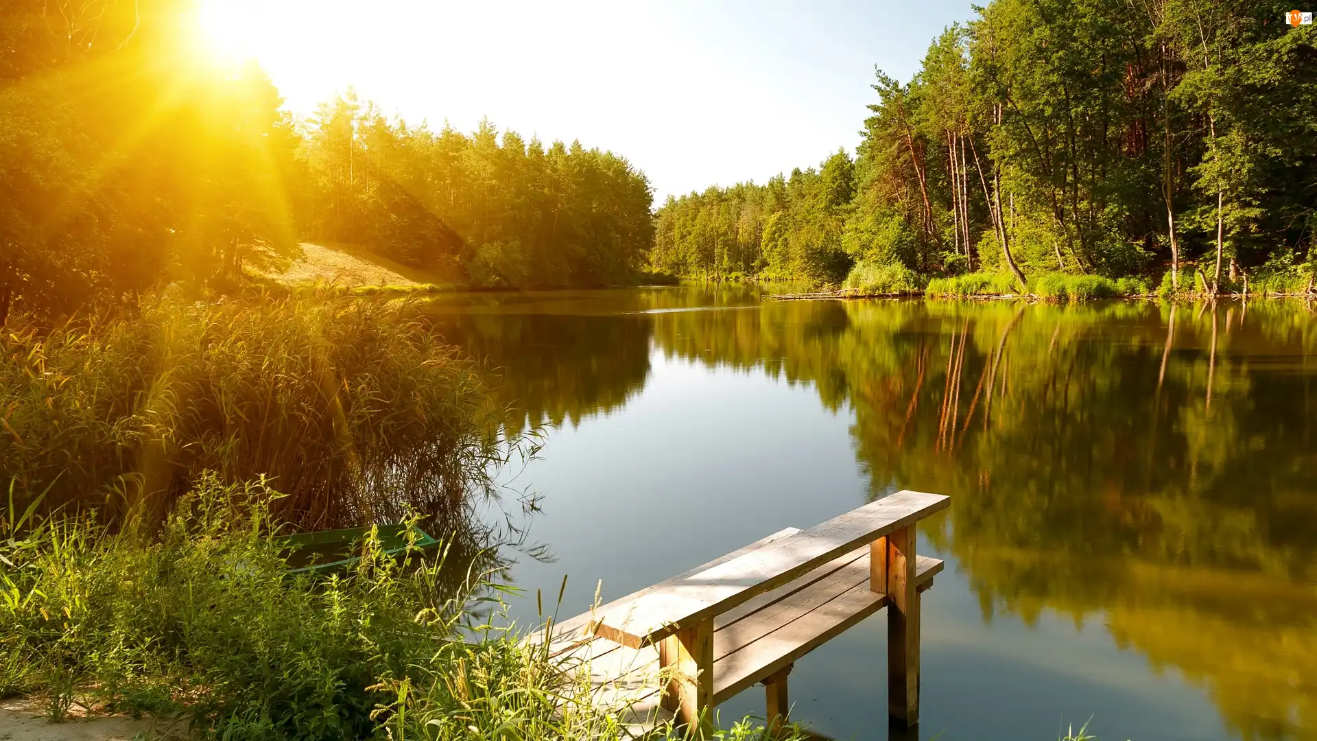 Pomost, Promienie słońca, Jezioro, Szuwary, Las, Drewniany, Łódka, Drzewa