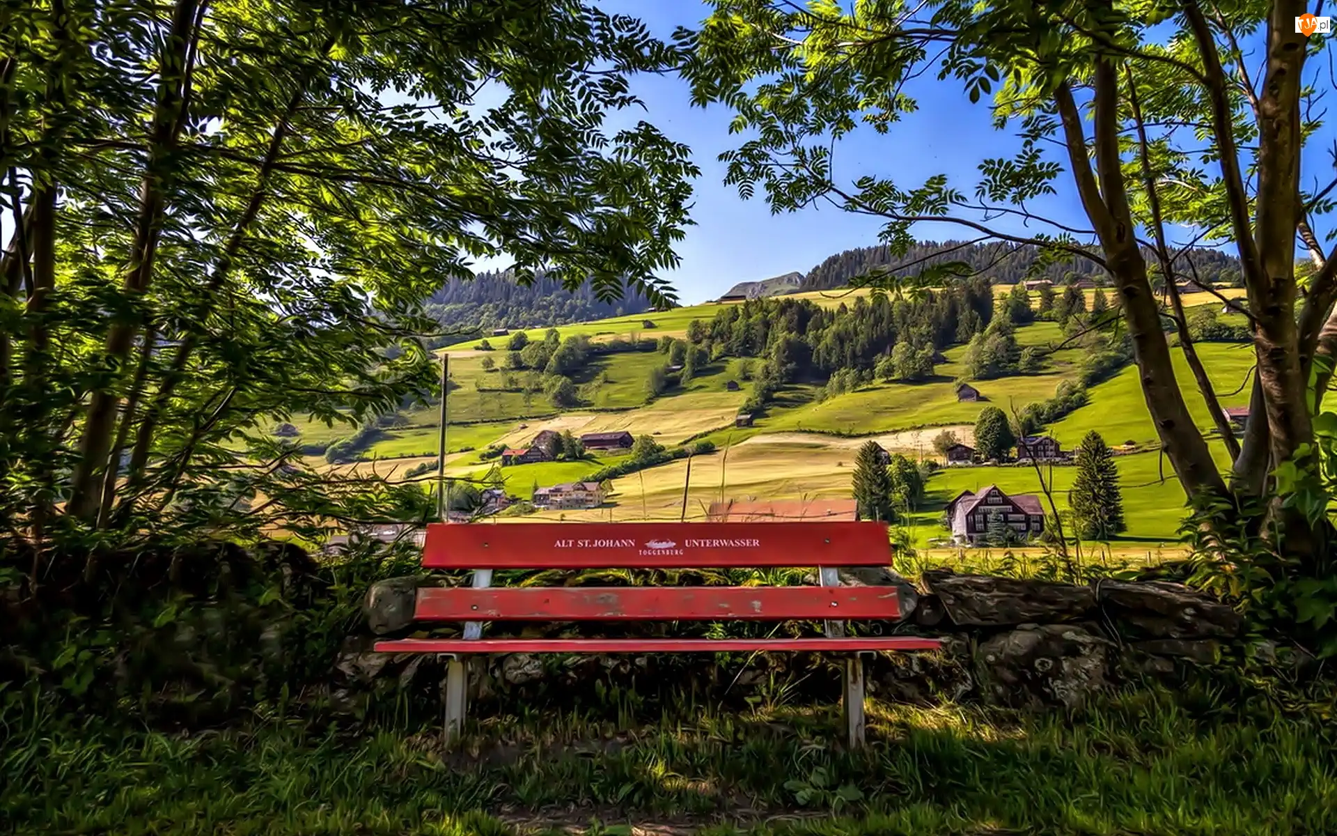 Drzewa, Łąka, Ławka, Wzgórza, Domek, Park