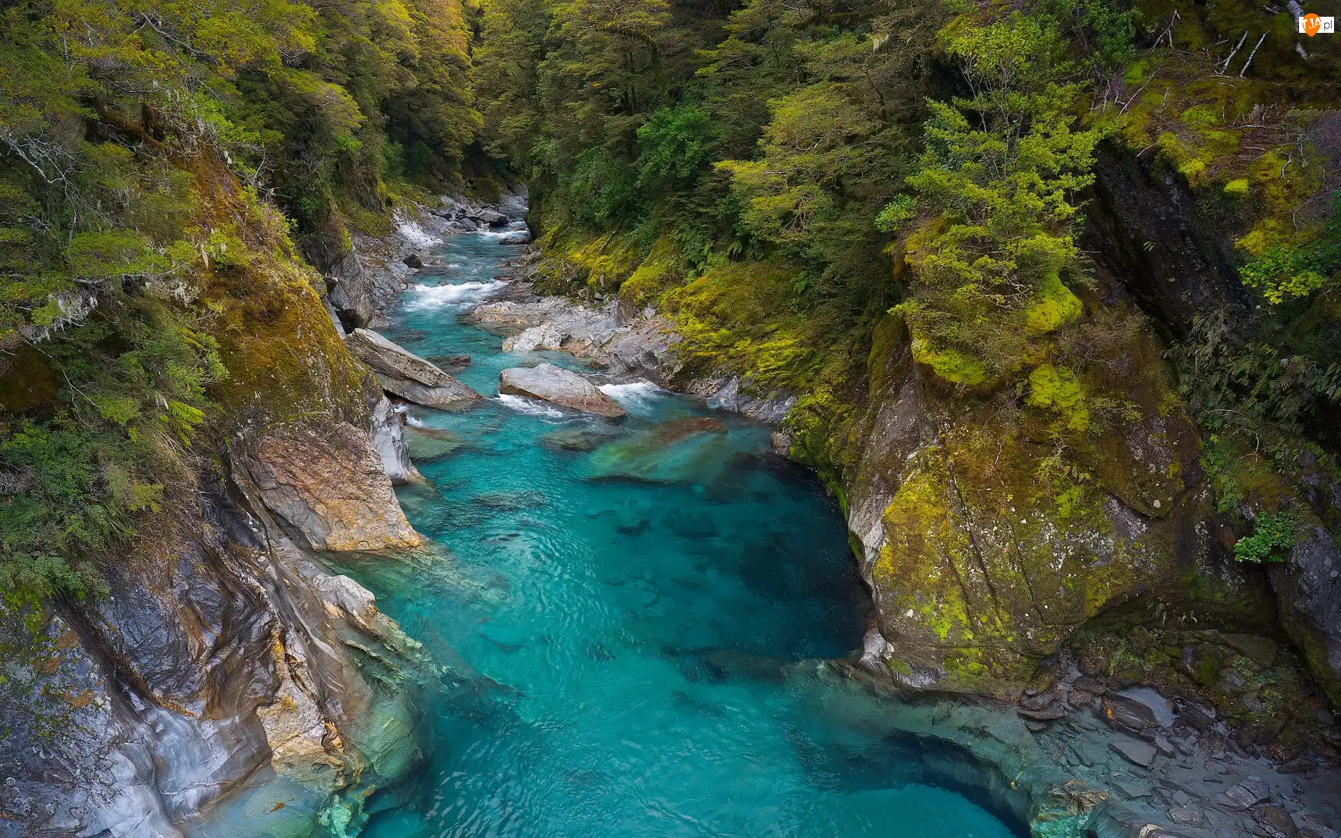 Rzeka, Nowa Zelandia, Wąwóz, Makarora River, Otago, Skały, Roślinność, Park Narodowy Mount Aspiring