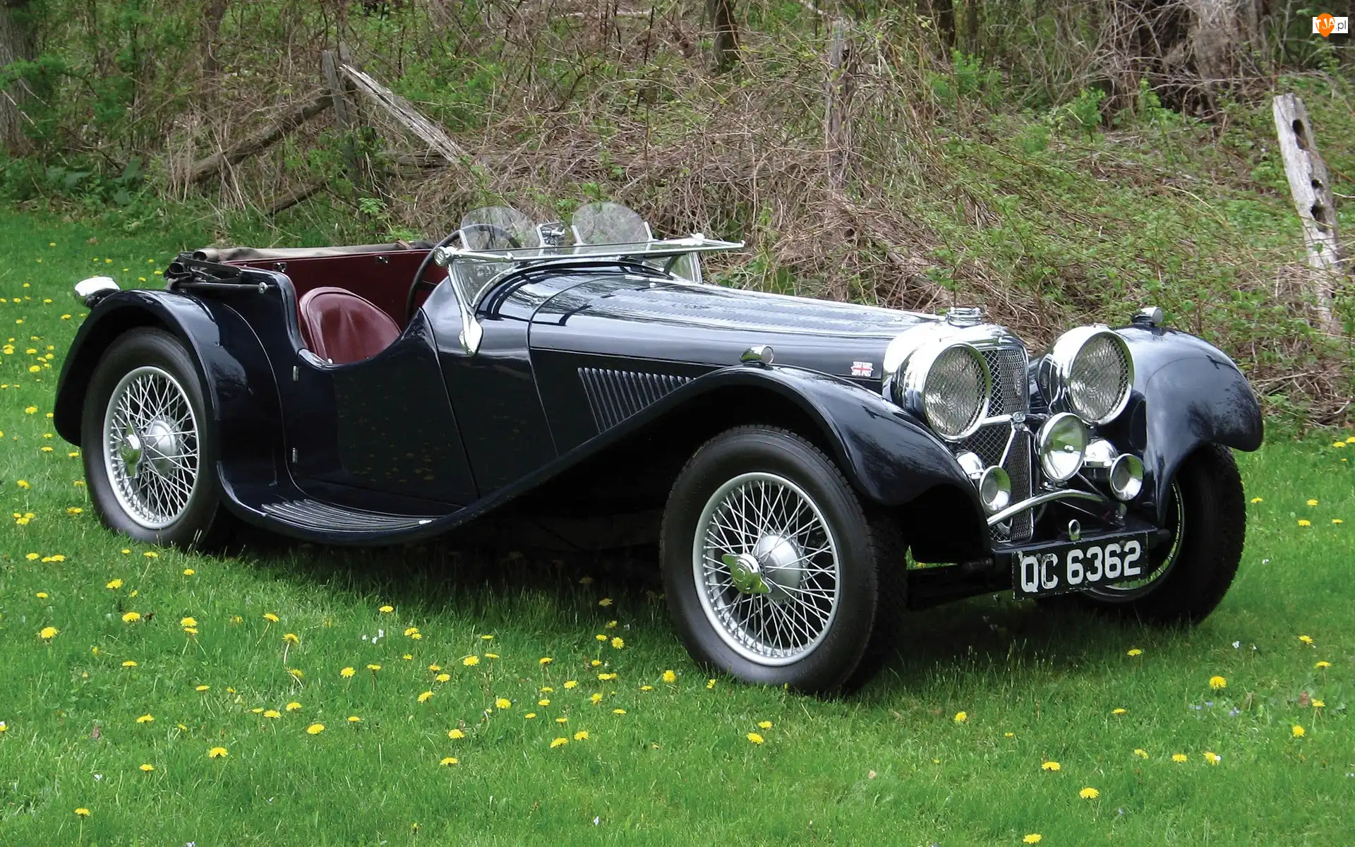 1935, Zabytkowy, Jaguar, Ss100