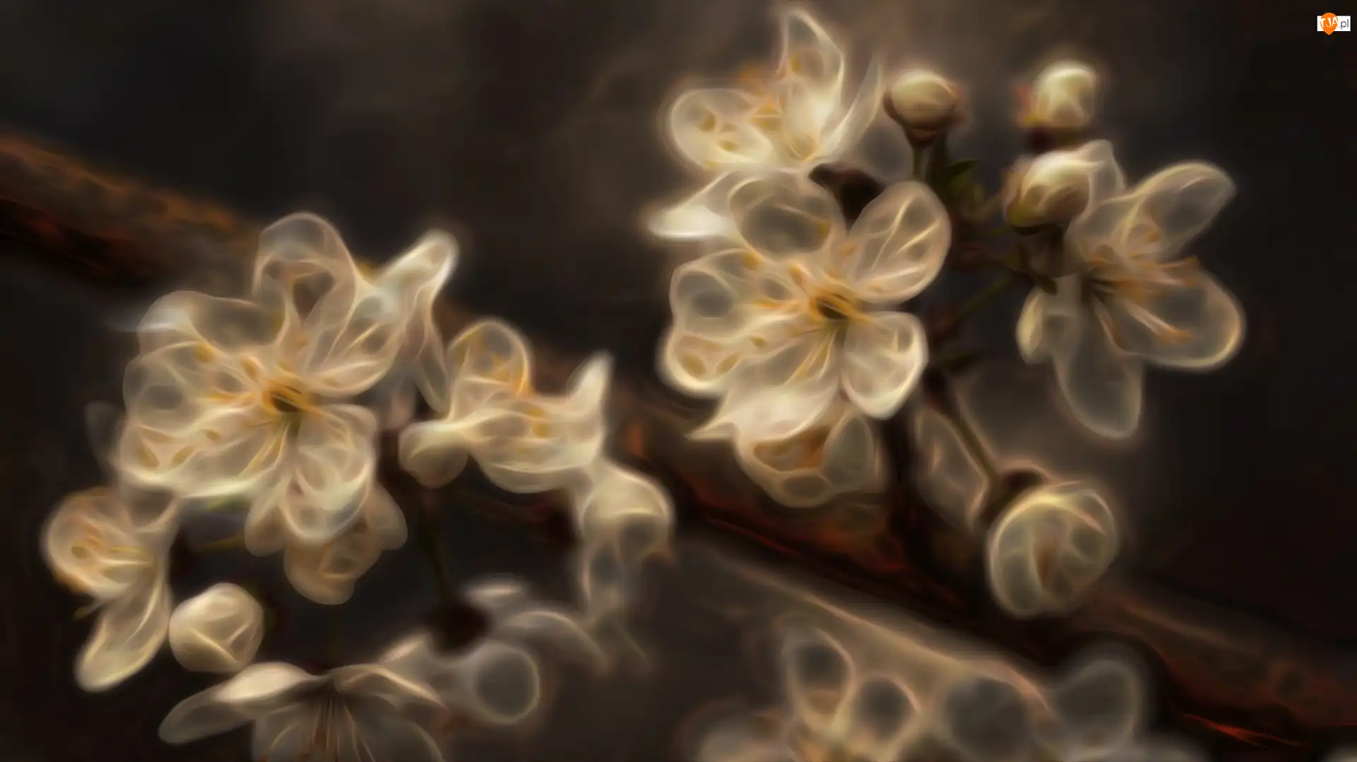 Fractalius, Białe, Kwiaty, Gałązka
