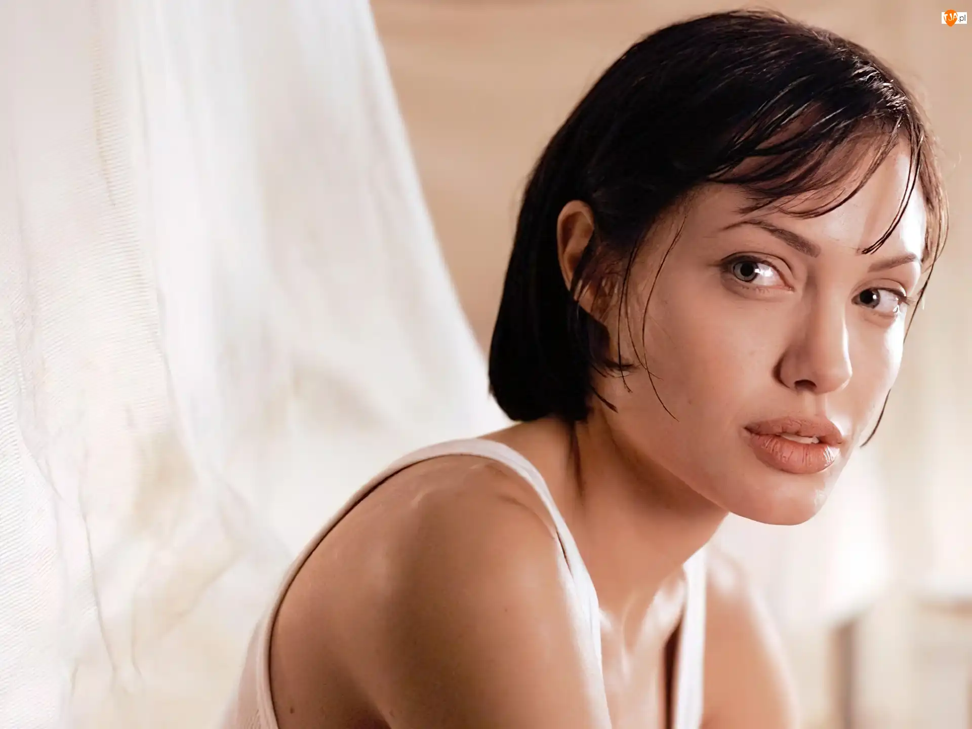 krótkie włosy, Angelina Jolie, biały top
