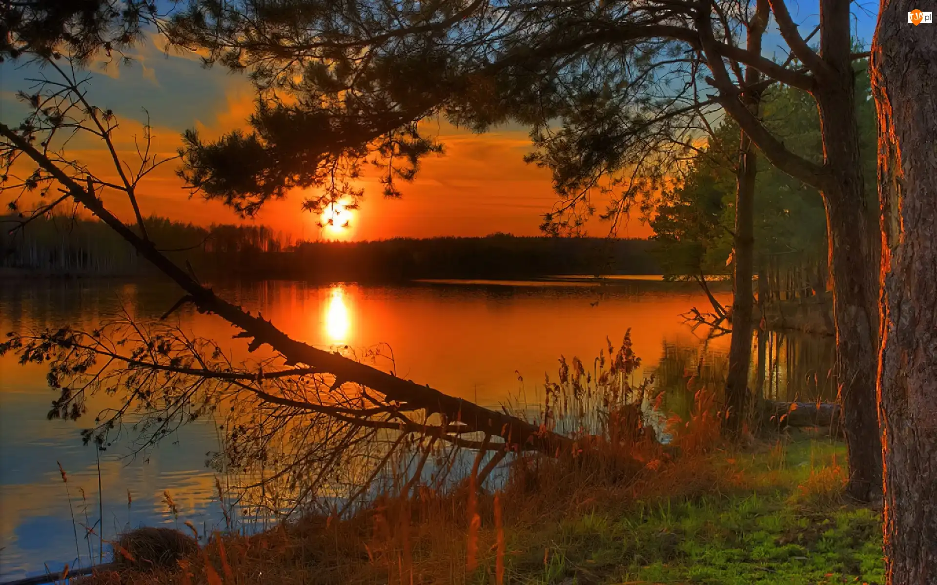 Drzewa, Zachód, Słońca, Jezioro