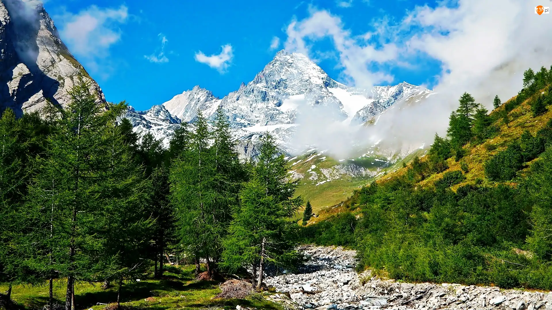 Łożysko, Obłoki, Las, Góry, Kamienie