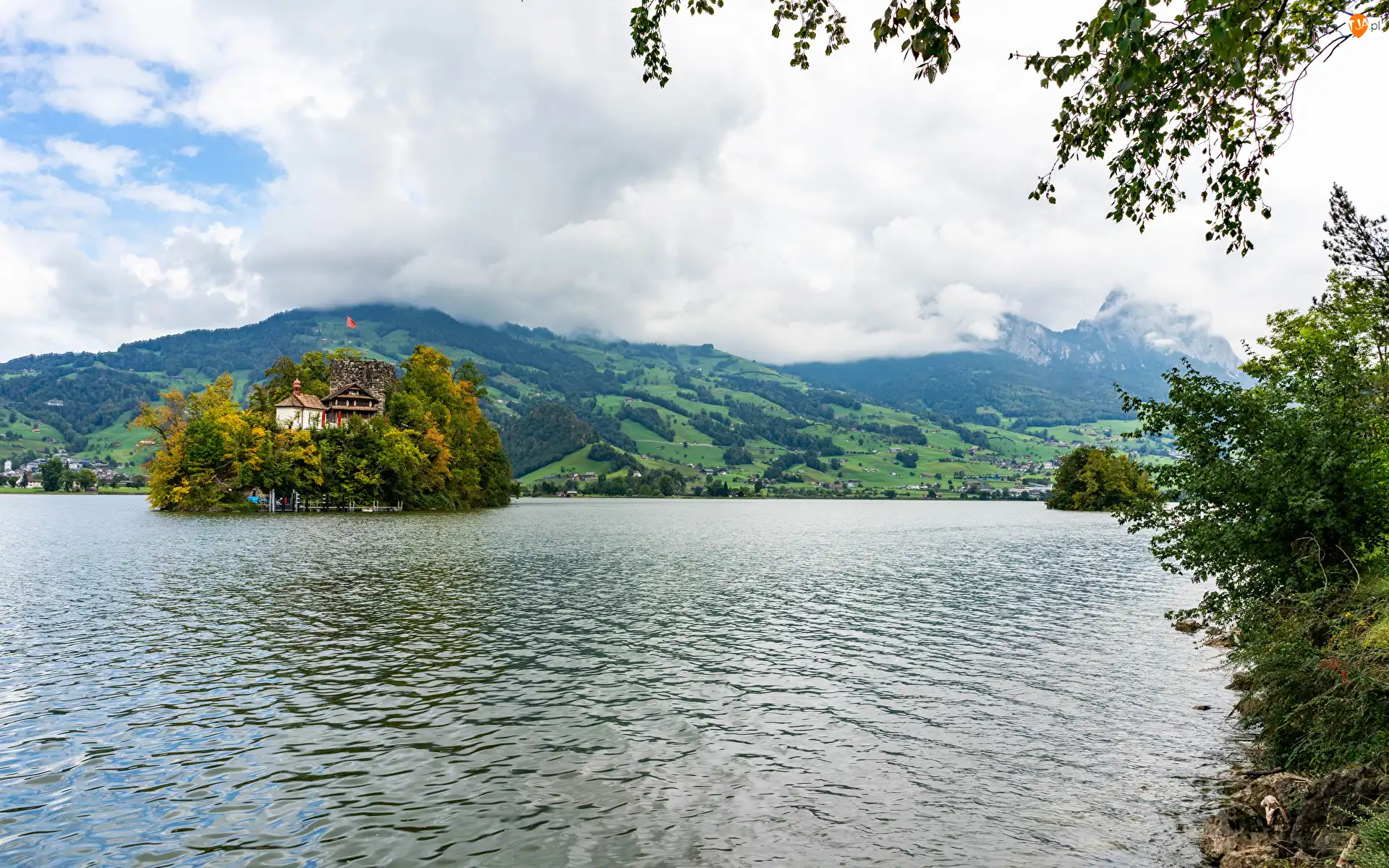 Wyspa Schwanau, Szwajcaria, Góry, Niebo, Jezioro Lauerz, Drzewa