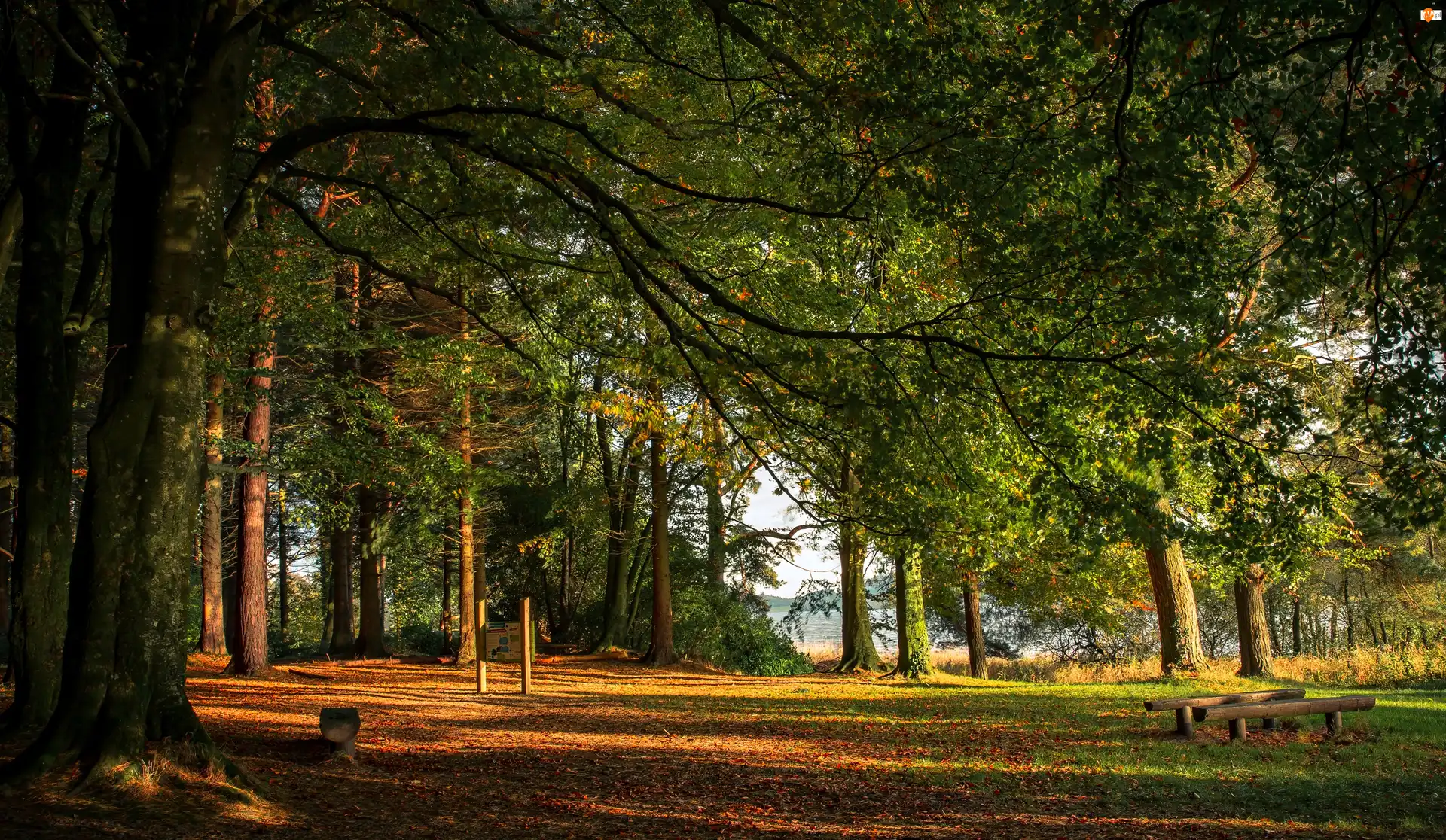 Hrabstwo Monaghan, Irlandia, Park, Rzeka, Castleblayney, Ławeczki