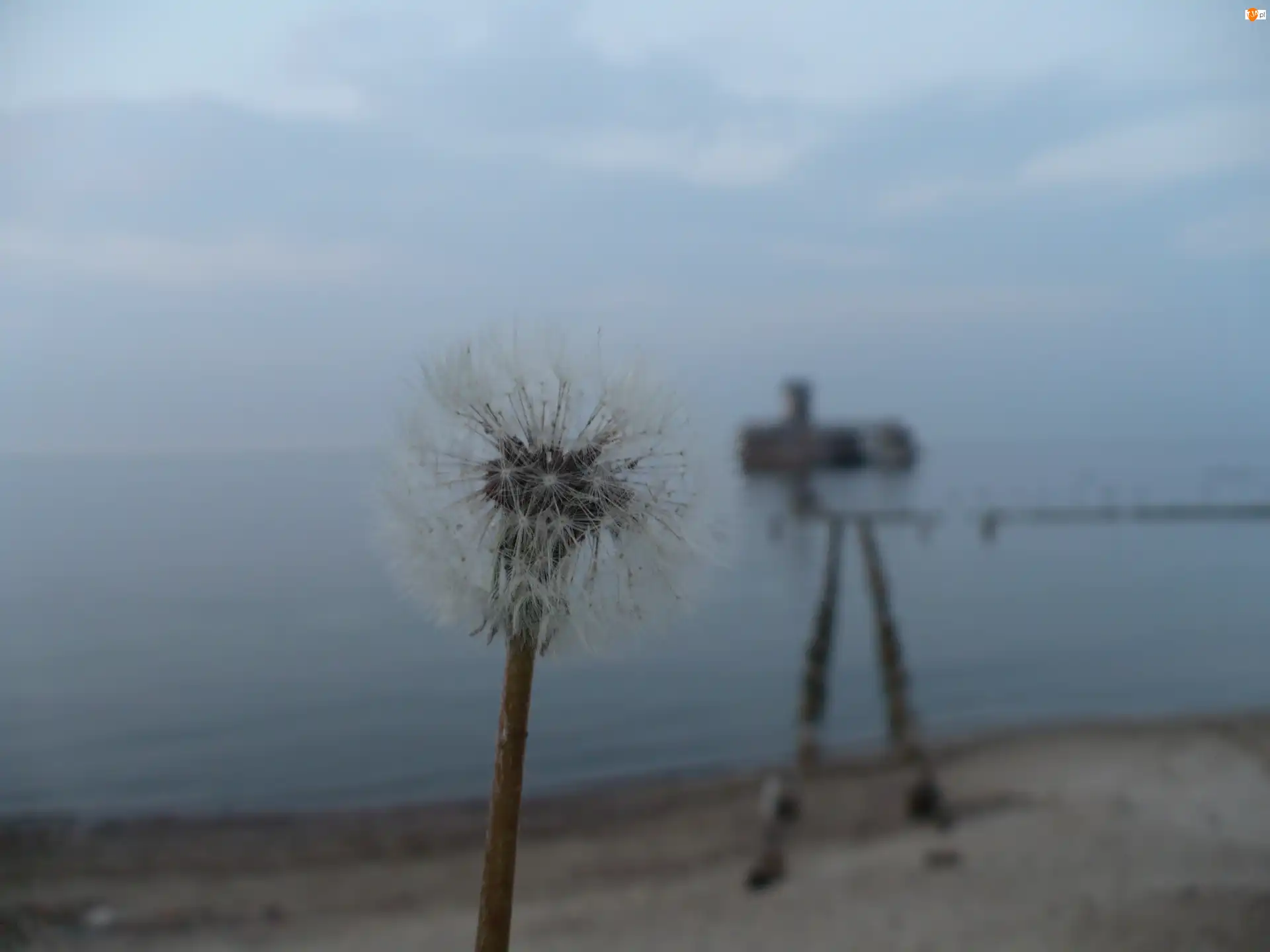 Doły, Mleczyk, Plaża, Babie