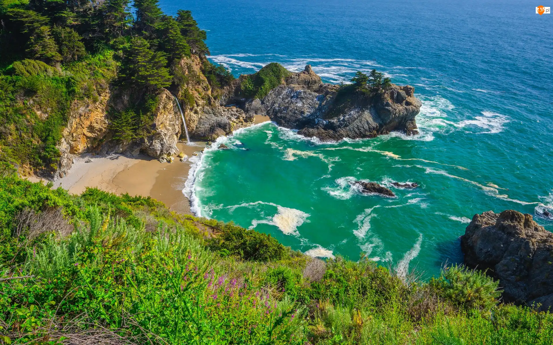 Zatoka McWay Cove, McWay Falls, Drzewa, Plaża, Wybrzeże Big Sur, Kalifornia, Wodospad, Park Stanowy Julia Pfeiffer Burns, Skały, Morze, Stany Zjednoczone