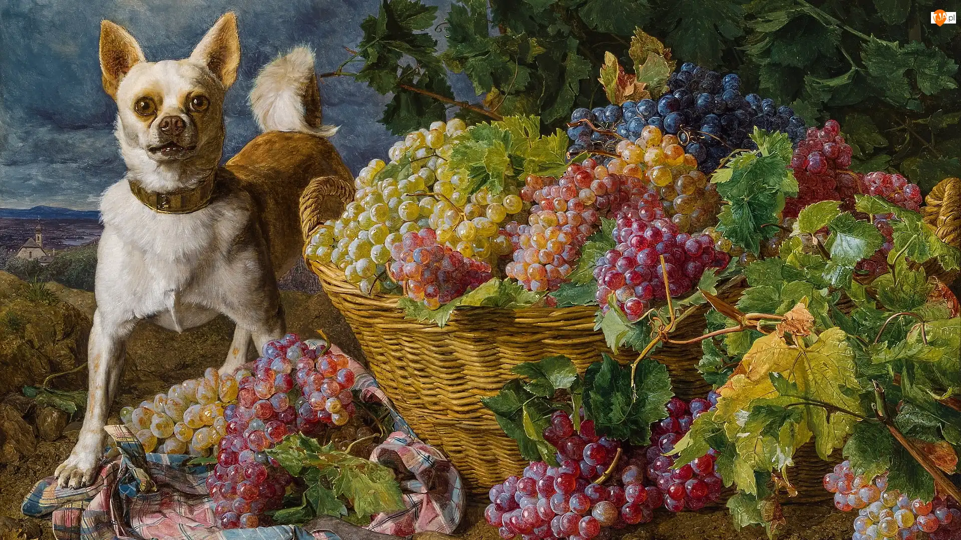 Obraz, Malarstwo, Pies, Winogrona, Ferdinand Georg Waldmuller, Kosz