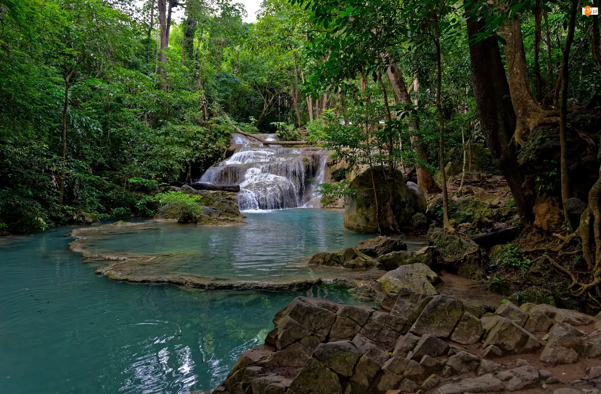 Wodospad Erawan, Drzewa, Tajlandia, Kaskada, Prowincja Kanchanaburi, Park Narodowy Erawan, Las